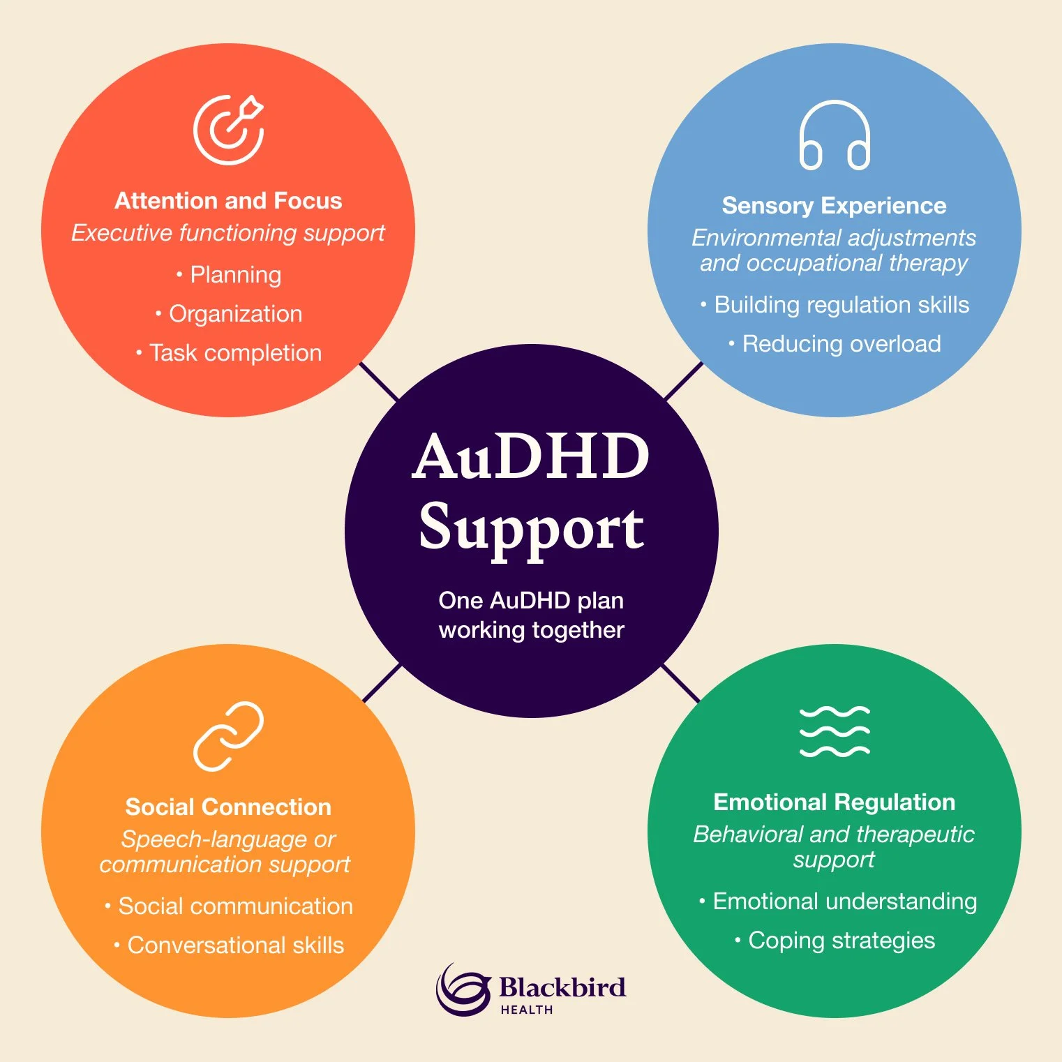 ADHD organized by attention and focus, sensory experience, social connection and emotional regulation