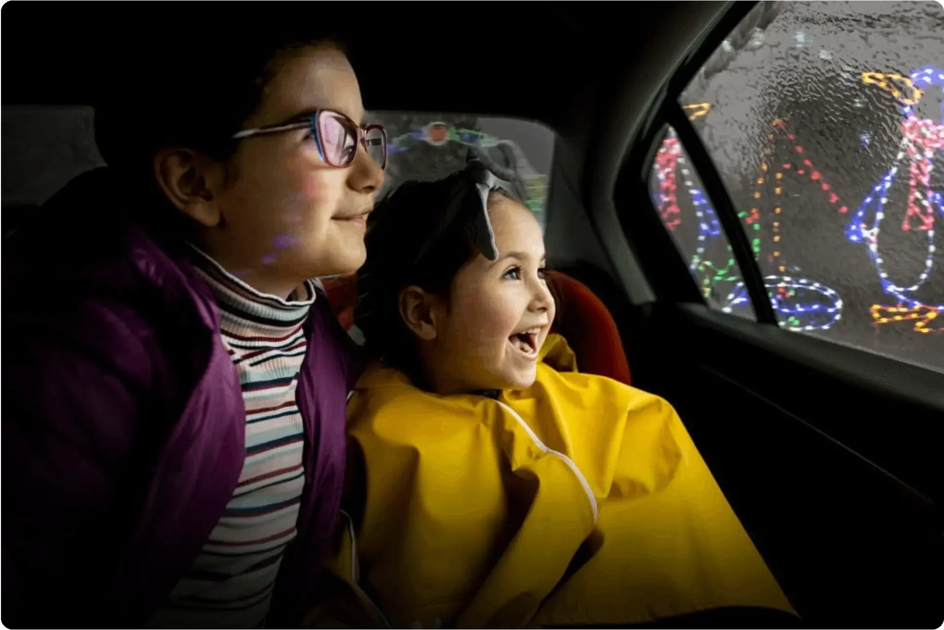 HolidayDriveThruLights.BlackbirdHealth