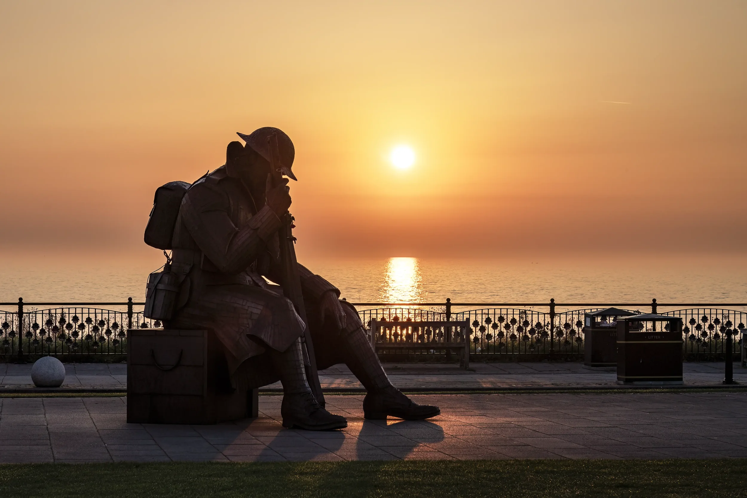 20230905 Tommy 5015 EDIT 3 (KW) WEBP.webp