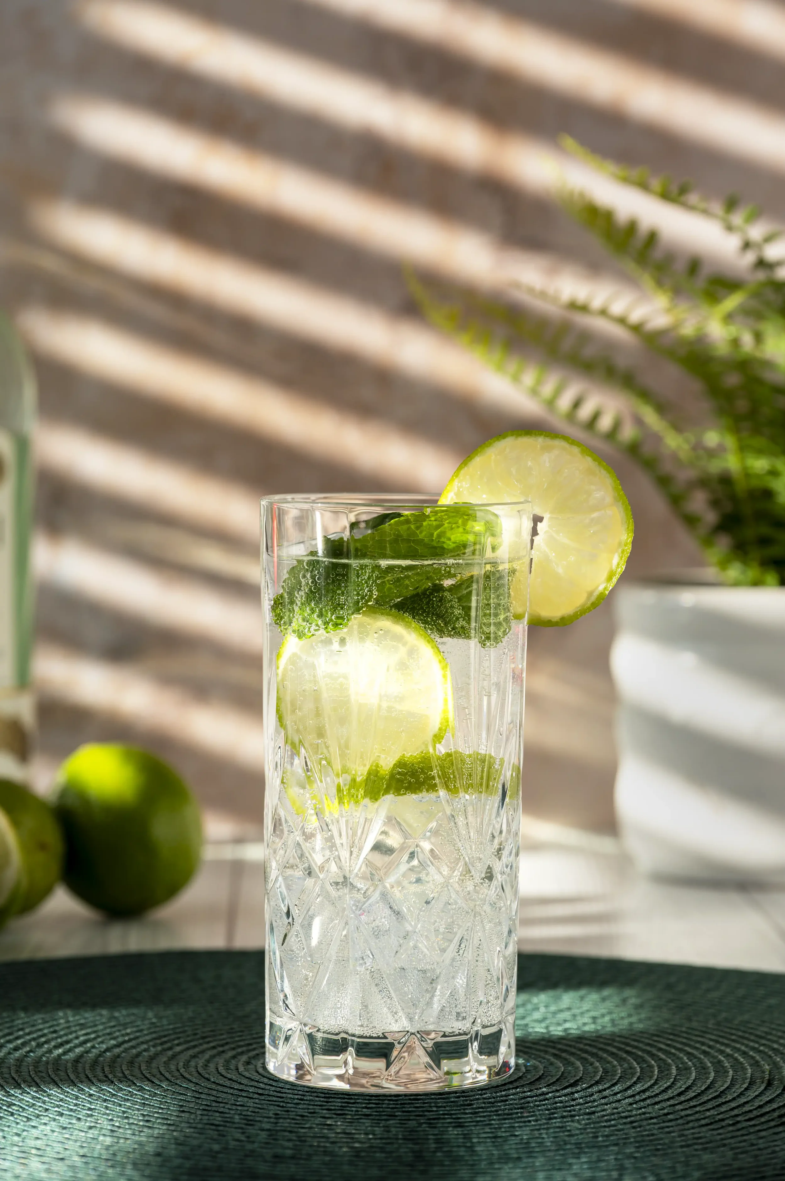 20250402 Mojito 0755 EDIT 2 (KW) WEBP.webp