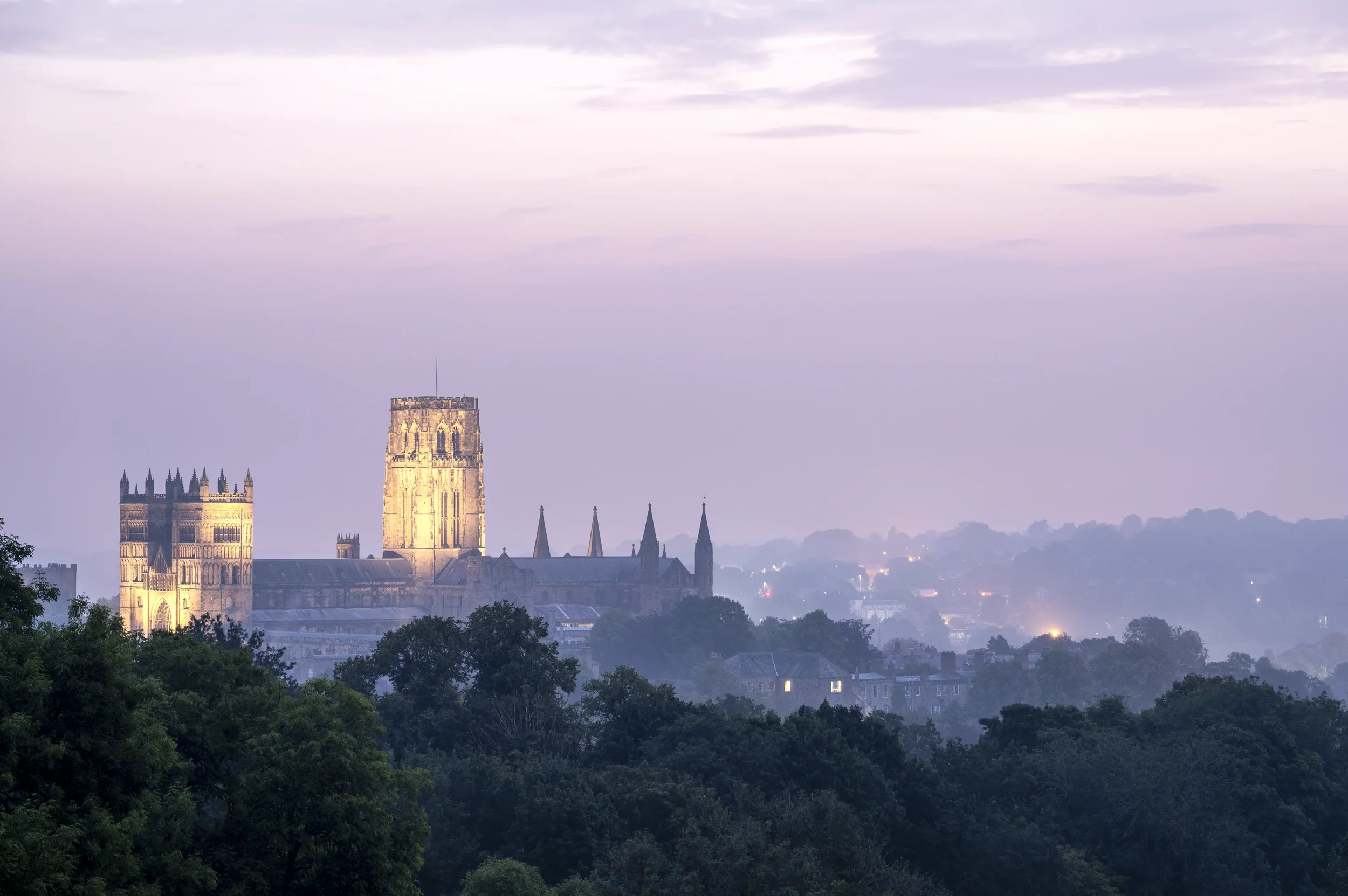 20230927 Purple Cathedral Morning 5217 EDIT 3 (KW) WEBP.webp