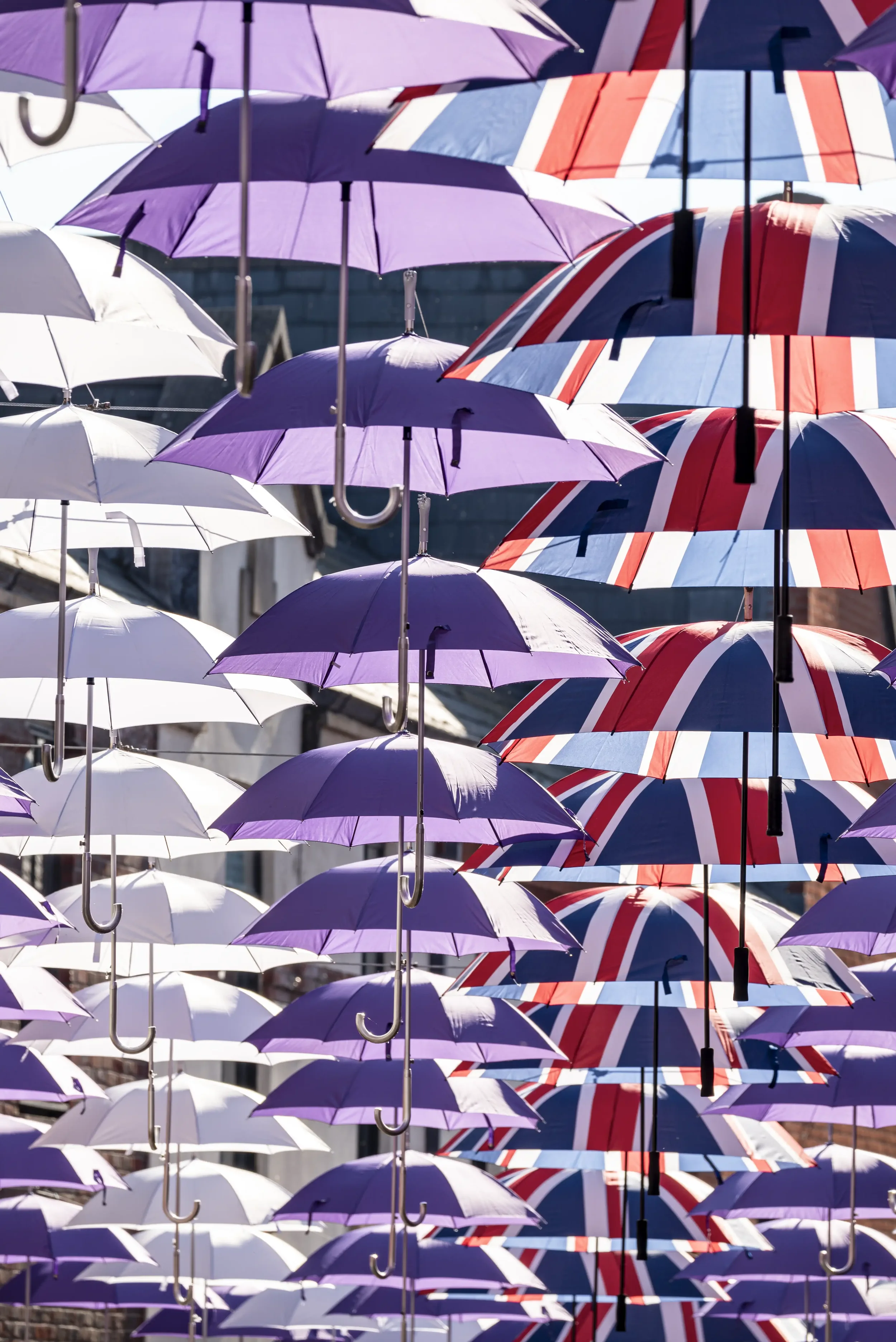Picture of the umbrellas in Druham for the Queen's Jubilee, June 2022.