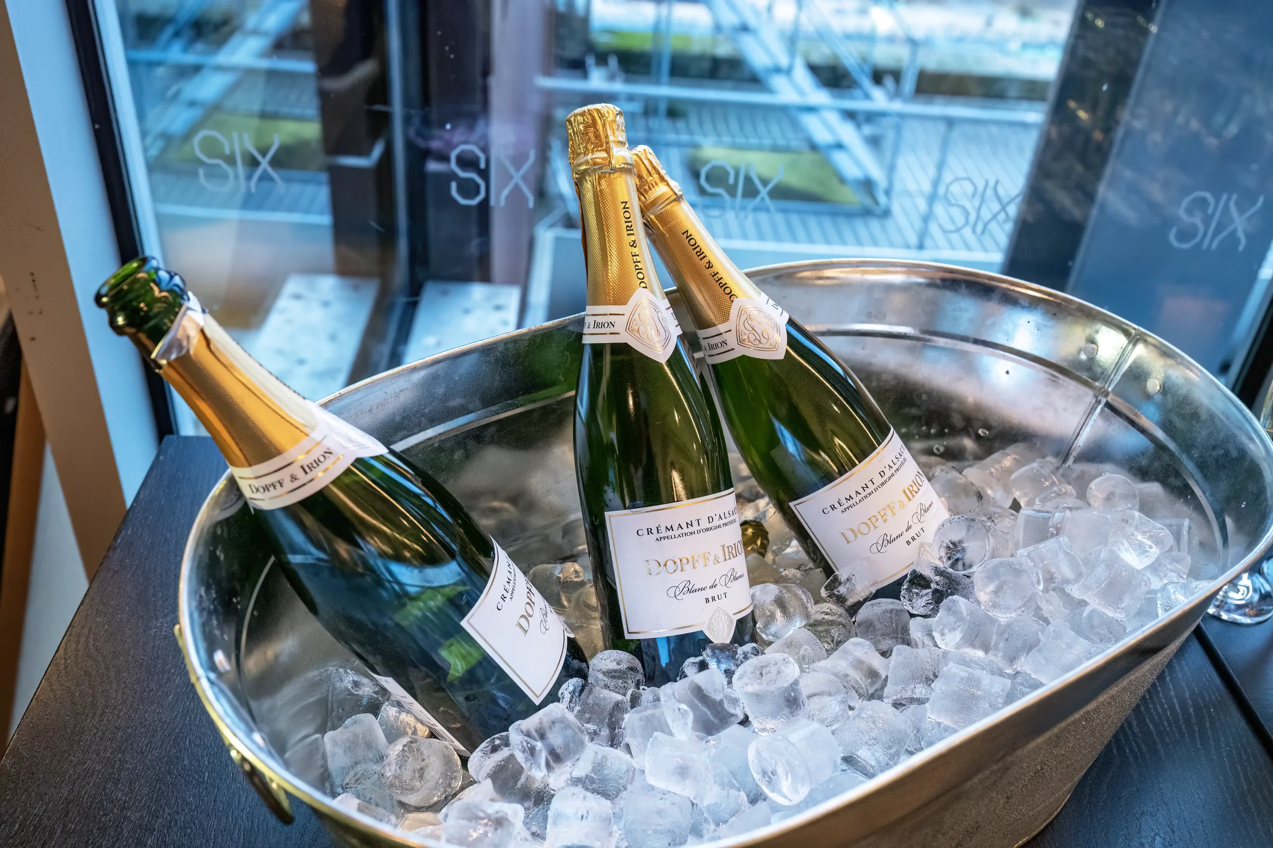 DSC_8768 EDIT 1 (KW) WEBP.webp