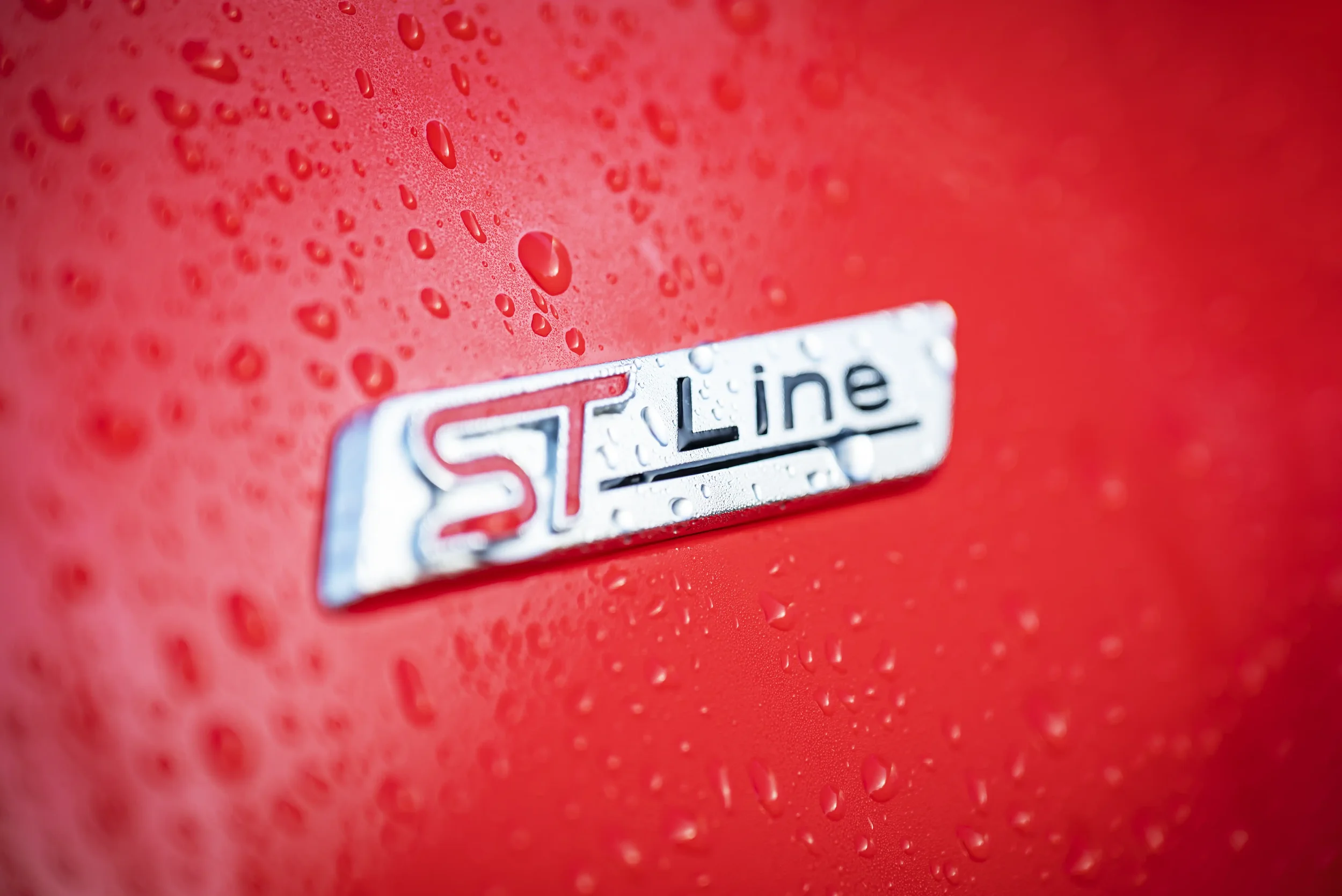 _DSC5558 EDIT 2 (KW) WEBP.webp