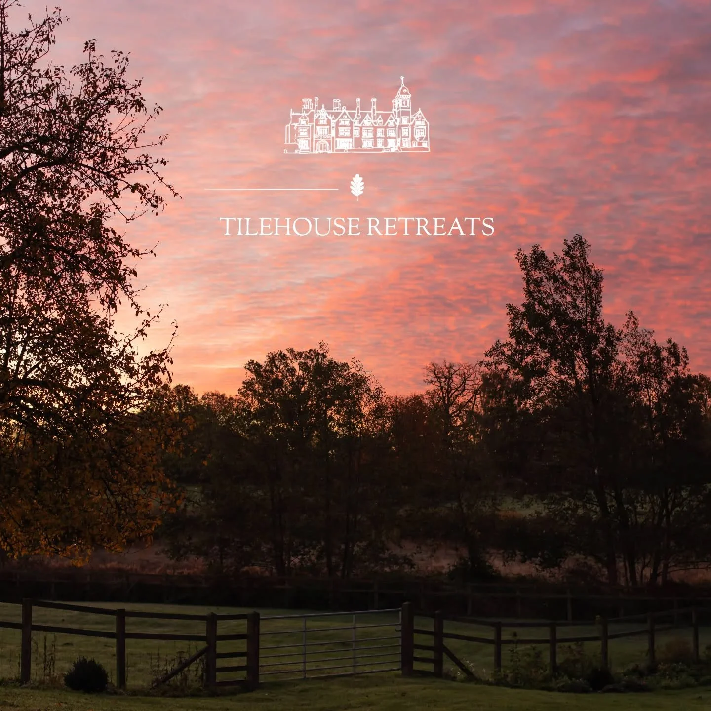 Morning magic at Fox and Hounds Farmhouse 🌅✨ The perfect start to a peaceful day in the countryside. Book your stay with us and wake up to views like this.
#CountrysideViews
 #MorningBliss 
#RuralEscape 
 #CountryLife
