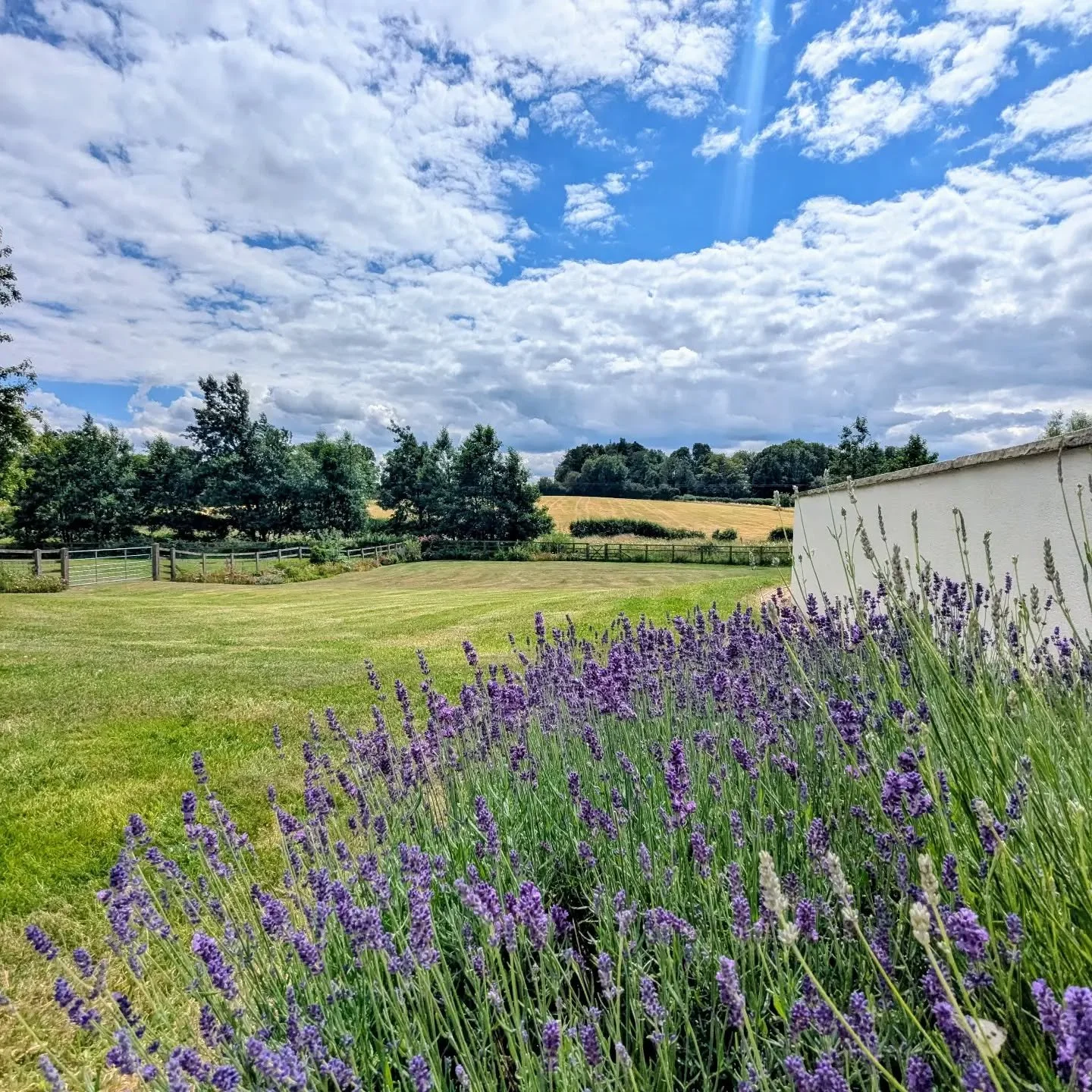 At Tilehouse Retreats, every stay is an invitation to slow down, reconnect, and embrace the beauty of the countryside 🌿💜

We still have some weekday availability at our beautiful farmhouse in July and August. 

Check out our upcoming retreats this 