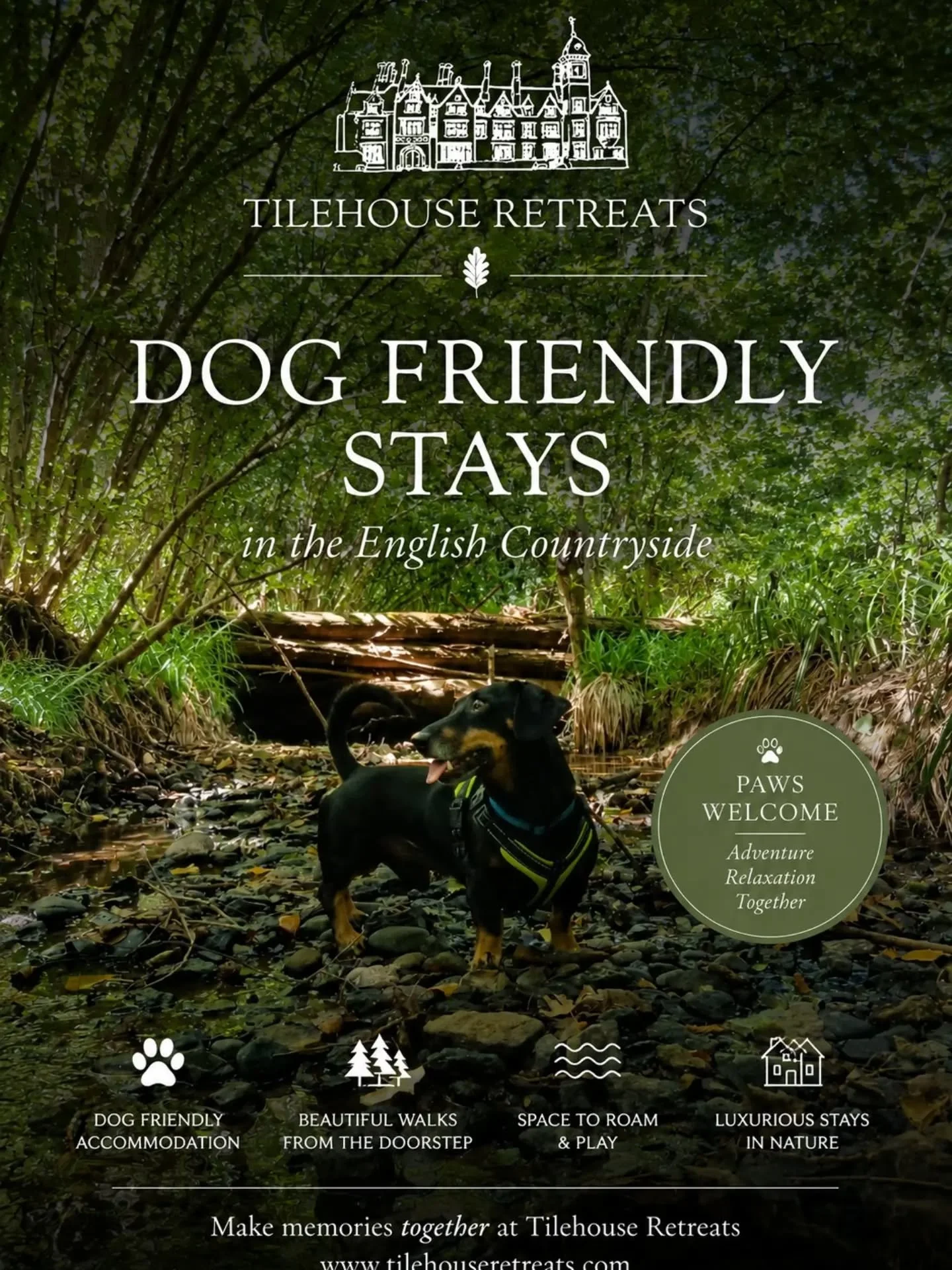 🐾 Dog-friendly escapes await at Tilehouse Retreats.

Step into the countryside and enjoy woodland walks, open landscapes, and quality time with your four-legged companion. From peaceful mornings exploring winding trails to cosy evenings unwinding to