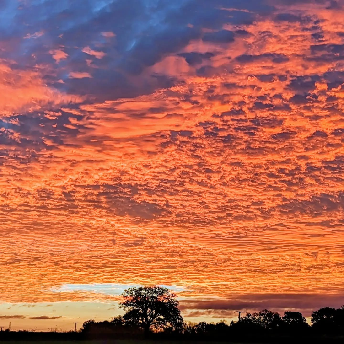 Some evenings simply stop you in your tracks 🌅✨

This was last night's sky over Tilehouse Retreats, a reminder that some of life's most beautiful moments don't need planning... just a moment to pause and take it all in.

This is what escaping to nat