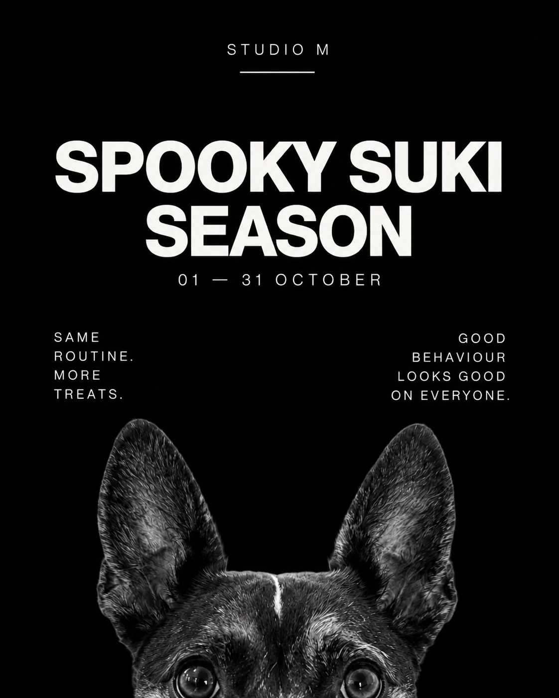 Spooky Suki Season is coming 👻

Apparently moving from Canada to Australia wasn&rsquo;t going to stop me forcing everyone to celebrate Halloween 😂 so from 1&ndash;31 October, Studio M is going spooky.

Every class you attend in October = 1 stamp + 