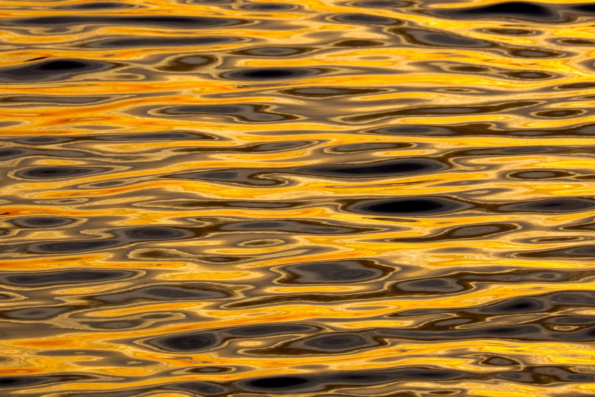 The sea, our gold treasure.