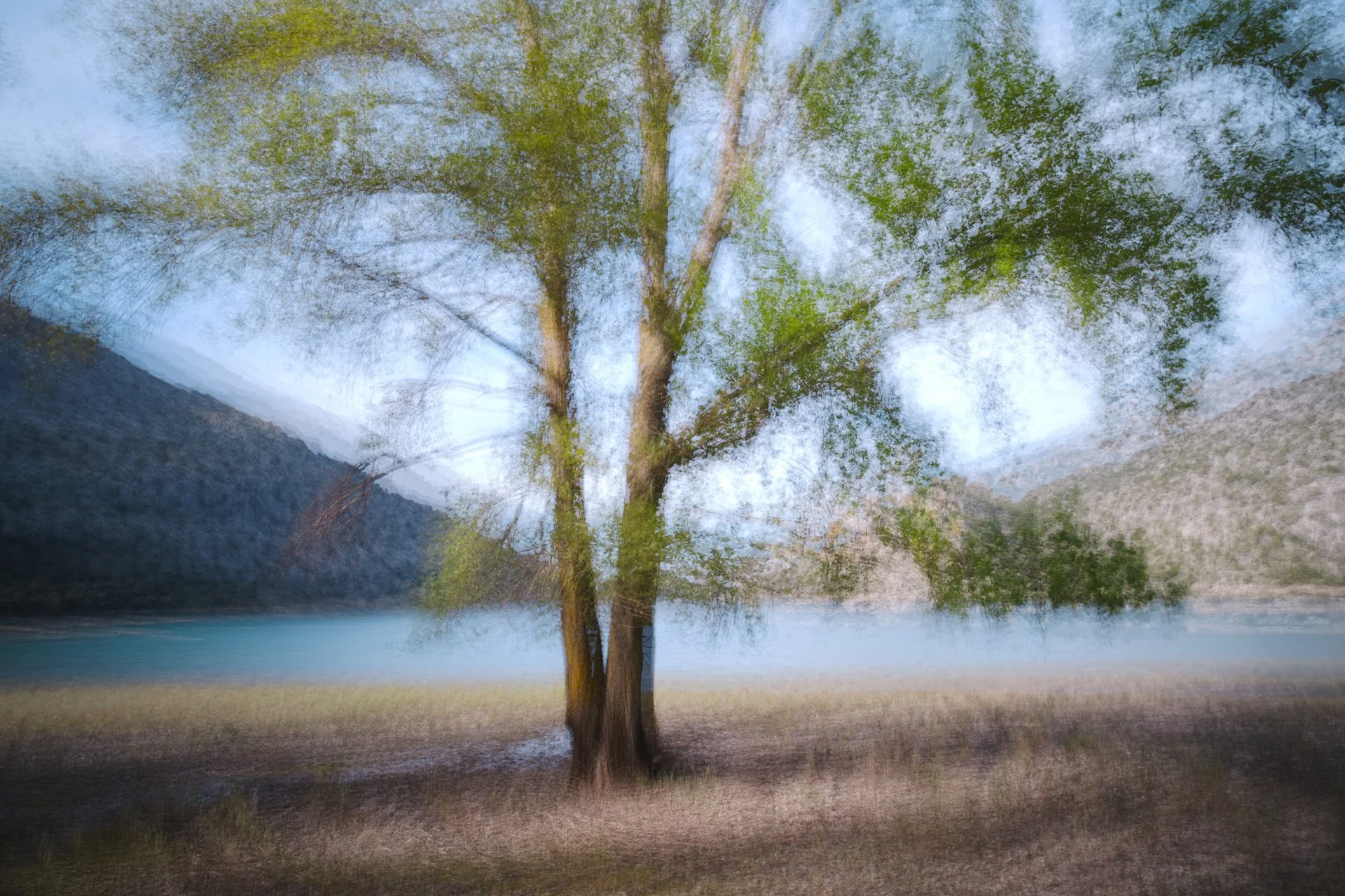 DSCF0442-2.jpg