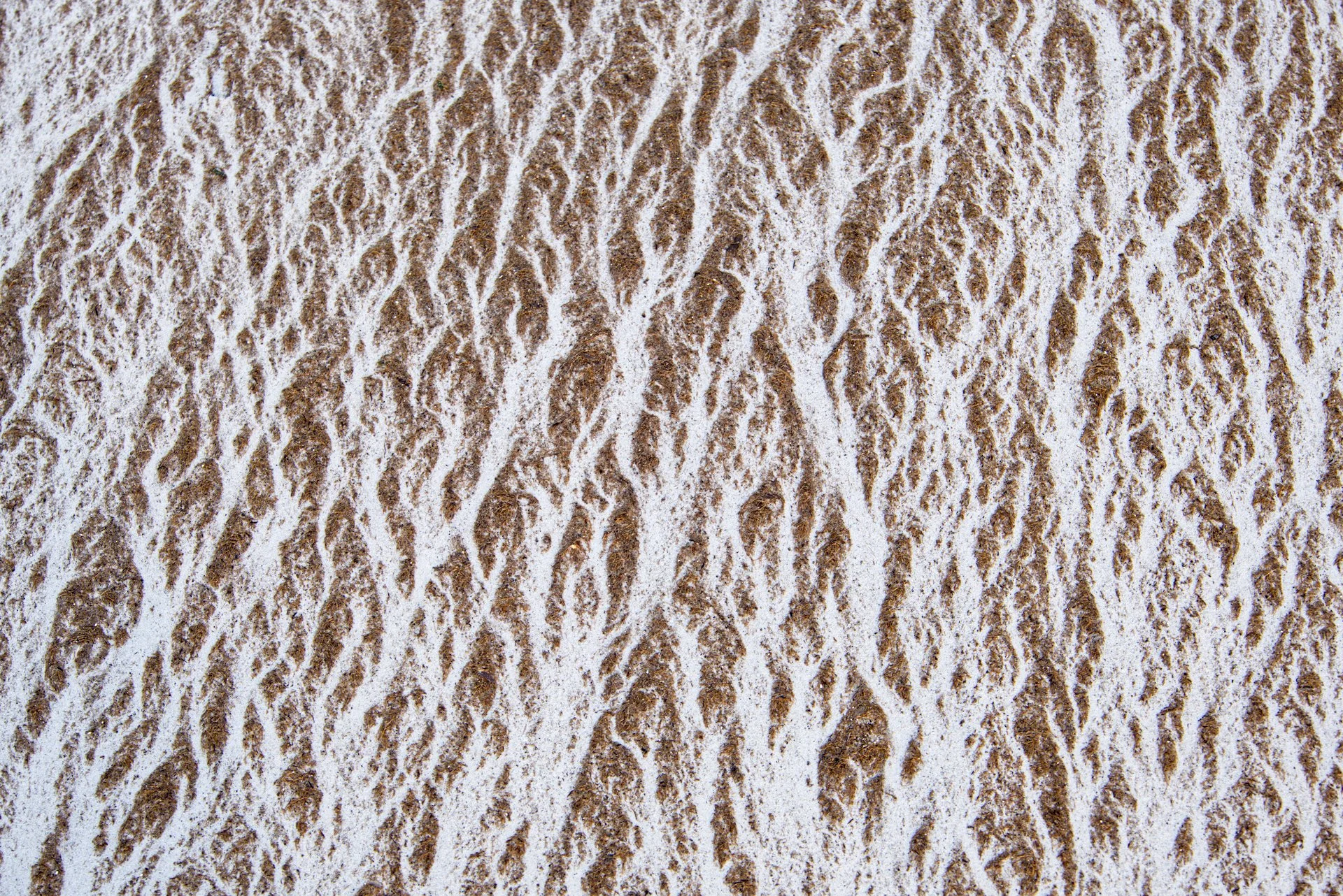 The sand, an infinite art canvas.