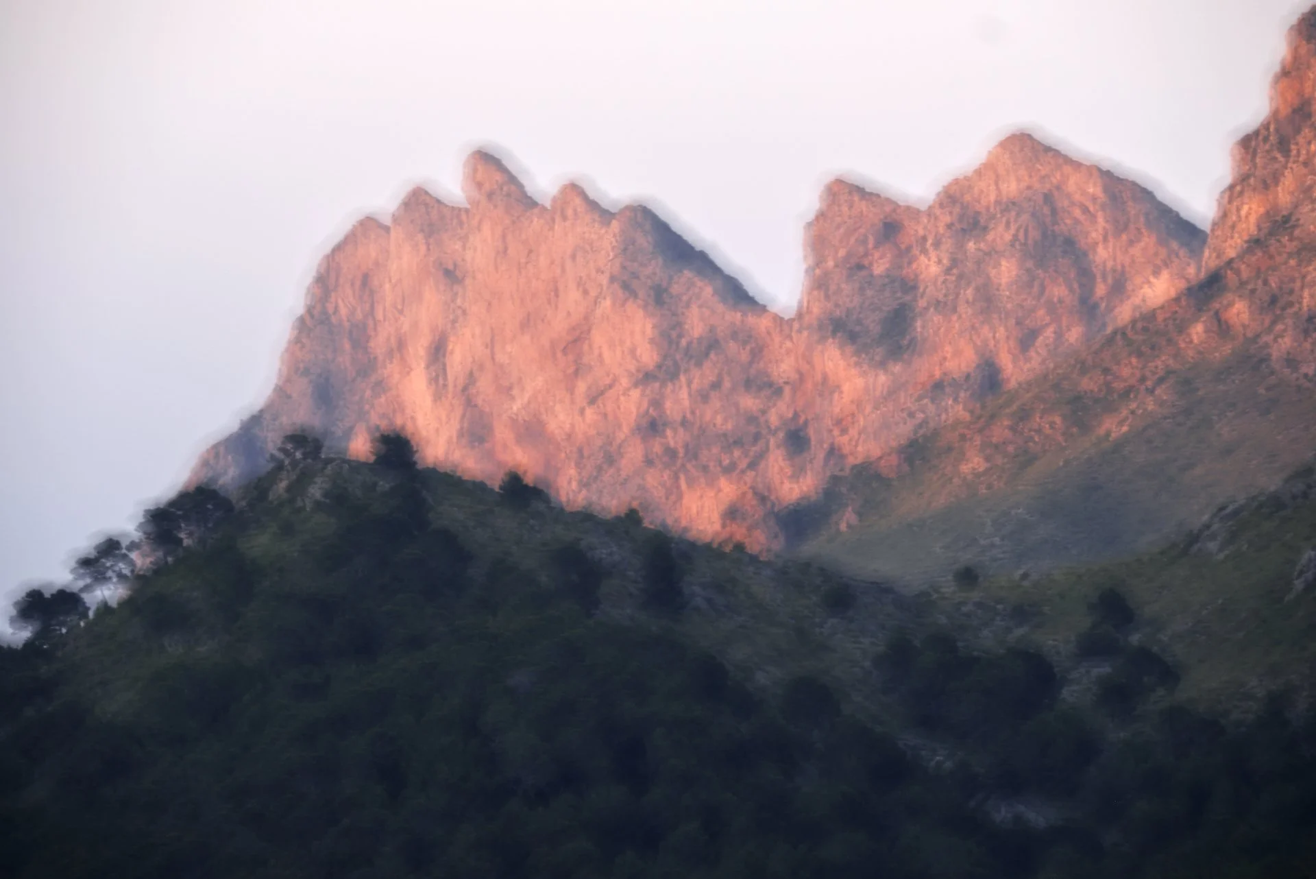 _DSF0848_2.jpg