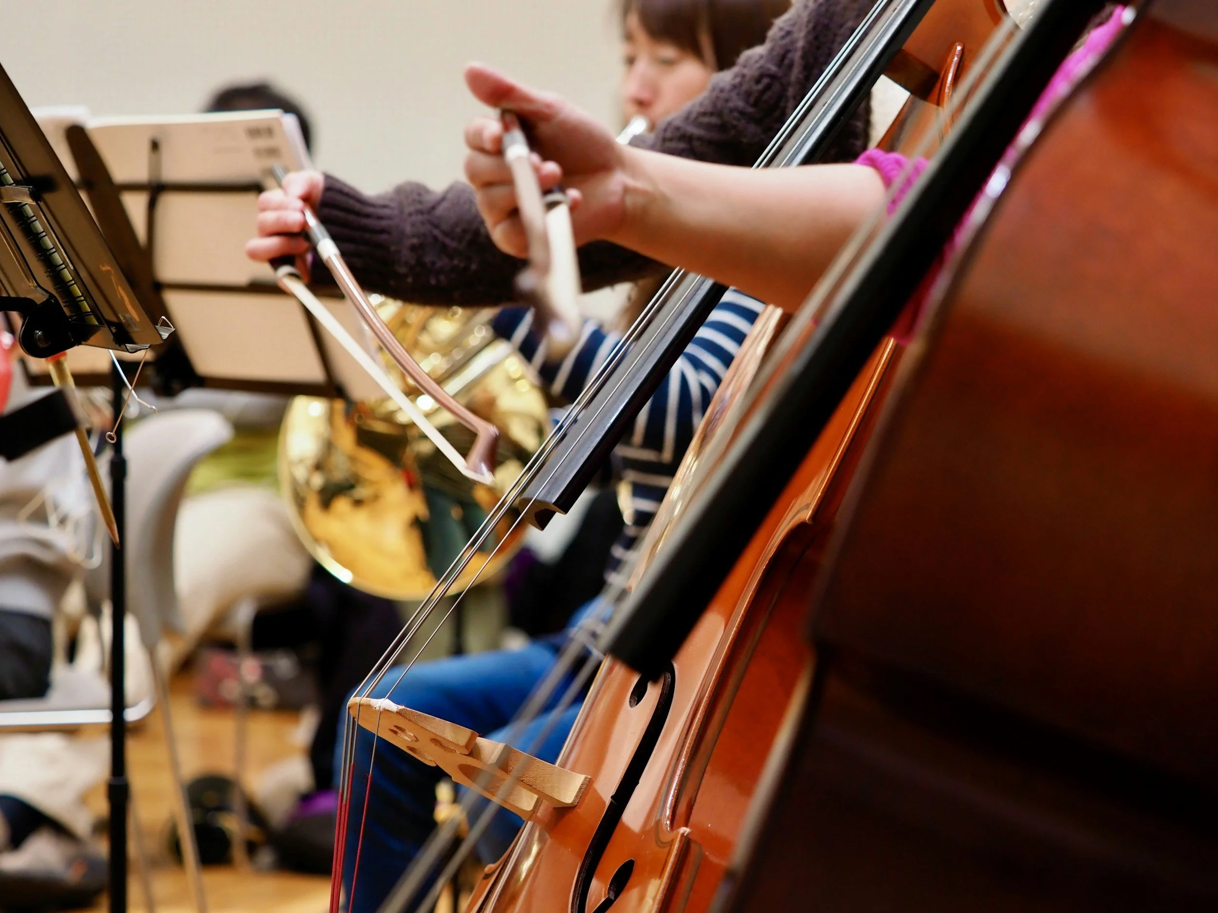 Saggio musicale allievi
