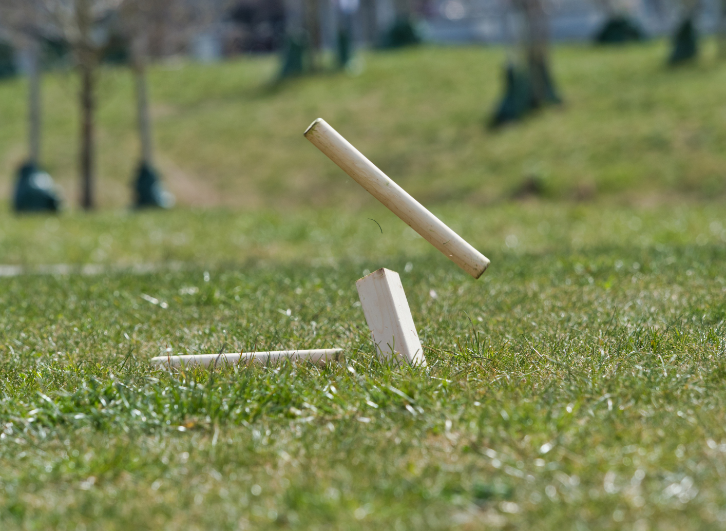 Torneo Alpi Kubb a Carì 2000