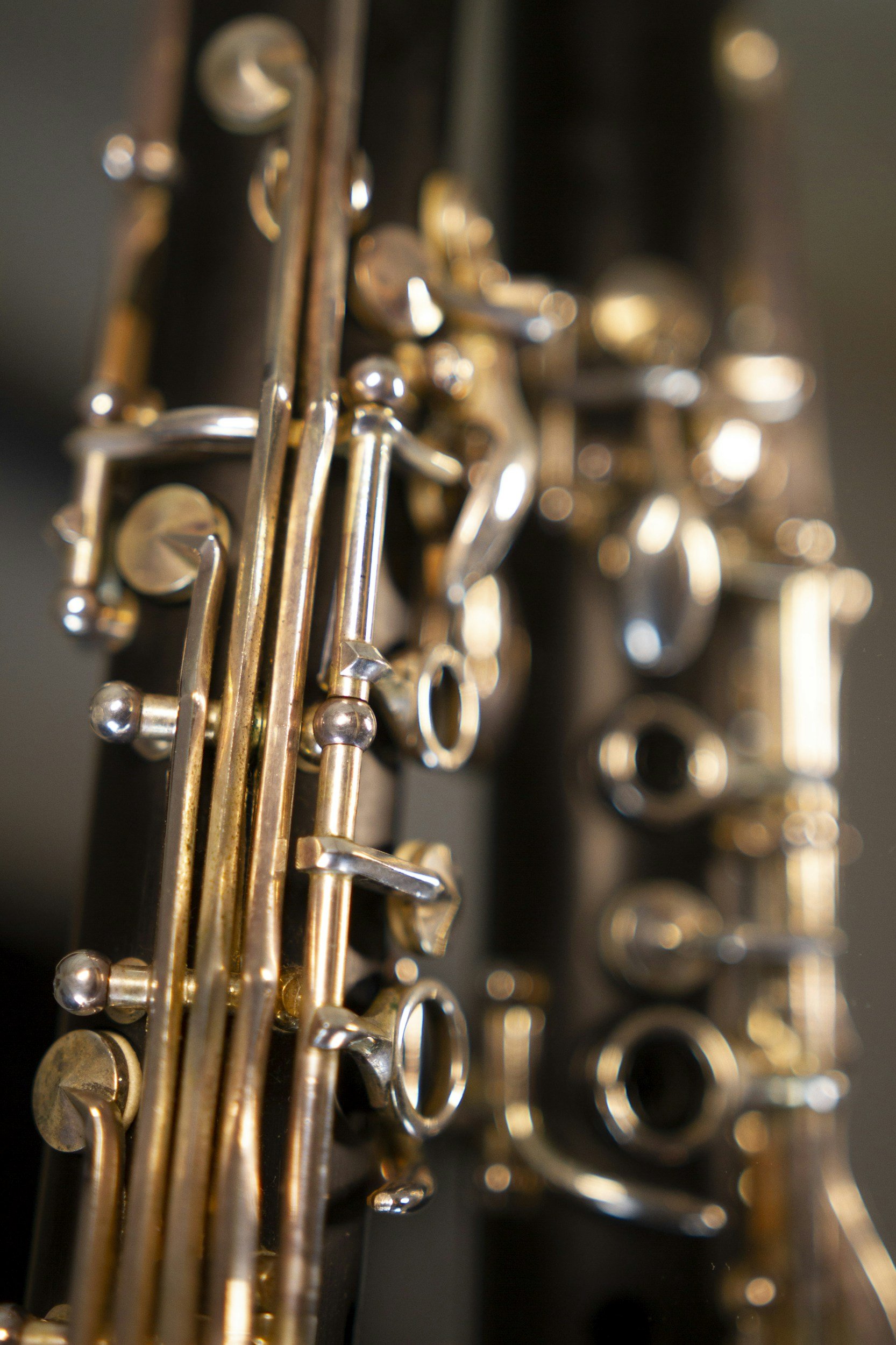 Ascona Clarinet Orchestra