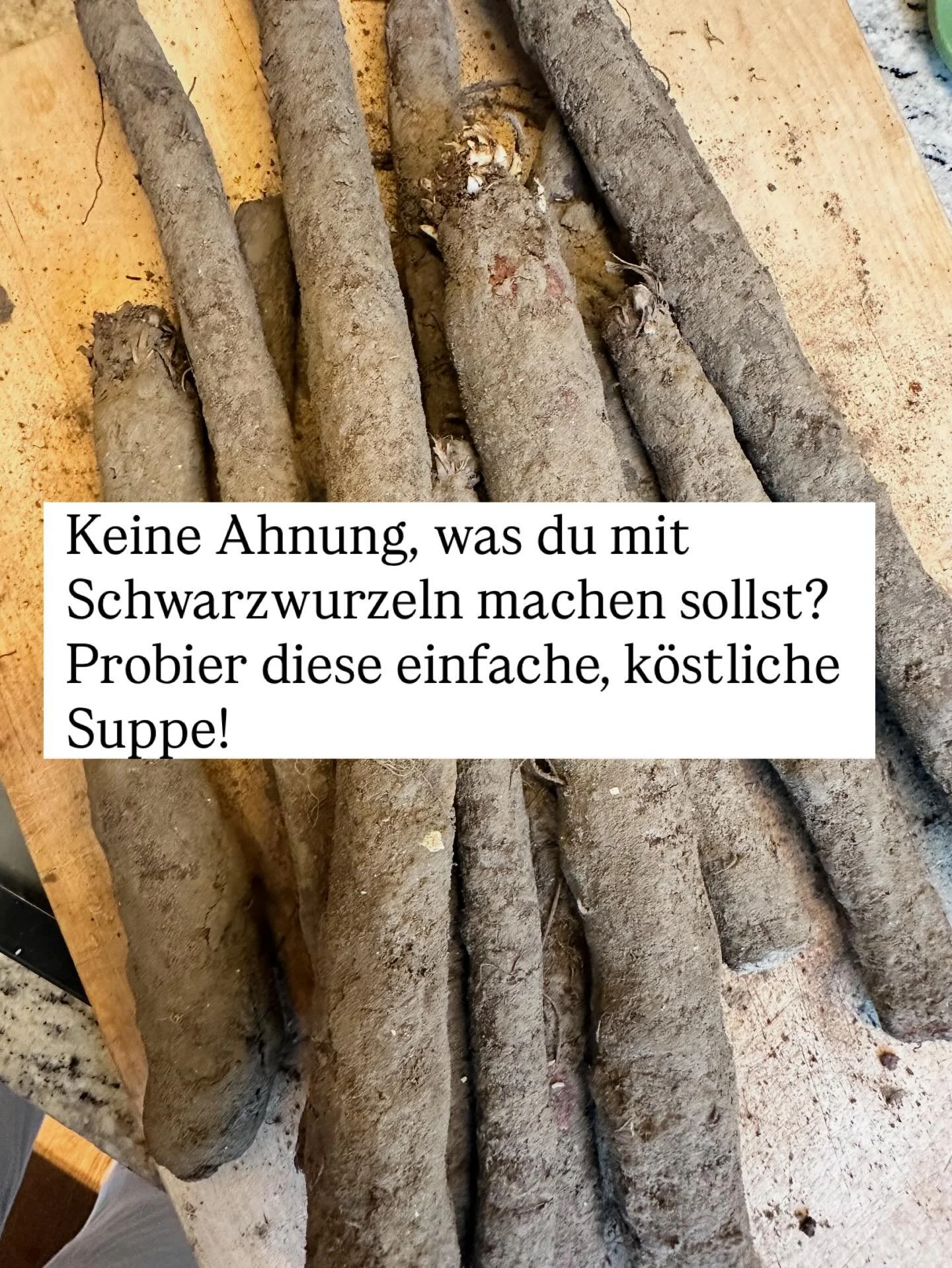 Die Schwarzwurzeln haben noch Saison!
Hier ist ein einfaches Rezept f&uuml;r eine cremige Schwarzwurzel-Suppe 🤍

Ein leicht verdauliches Winterrezept mit subtilen Gew&uuml;rzen und der nat&uuml;rlichen S&uuml;&szlig;e der Schwarzwurzel.

Tipp:
Sch&a