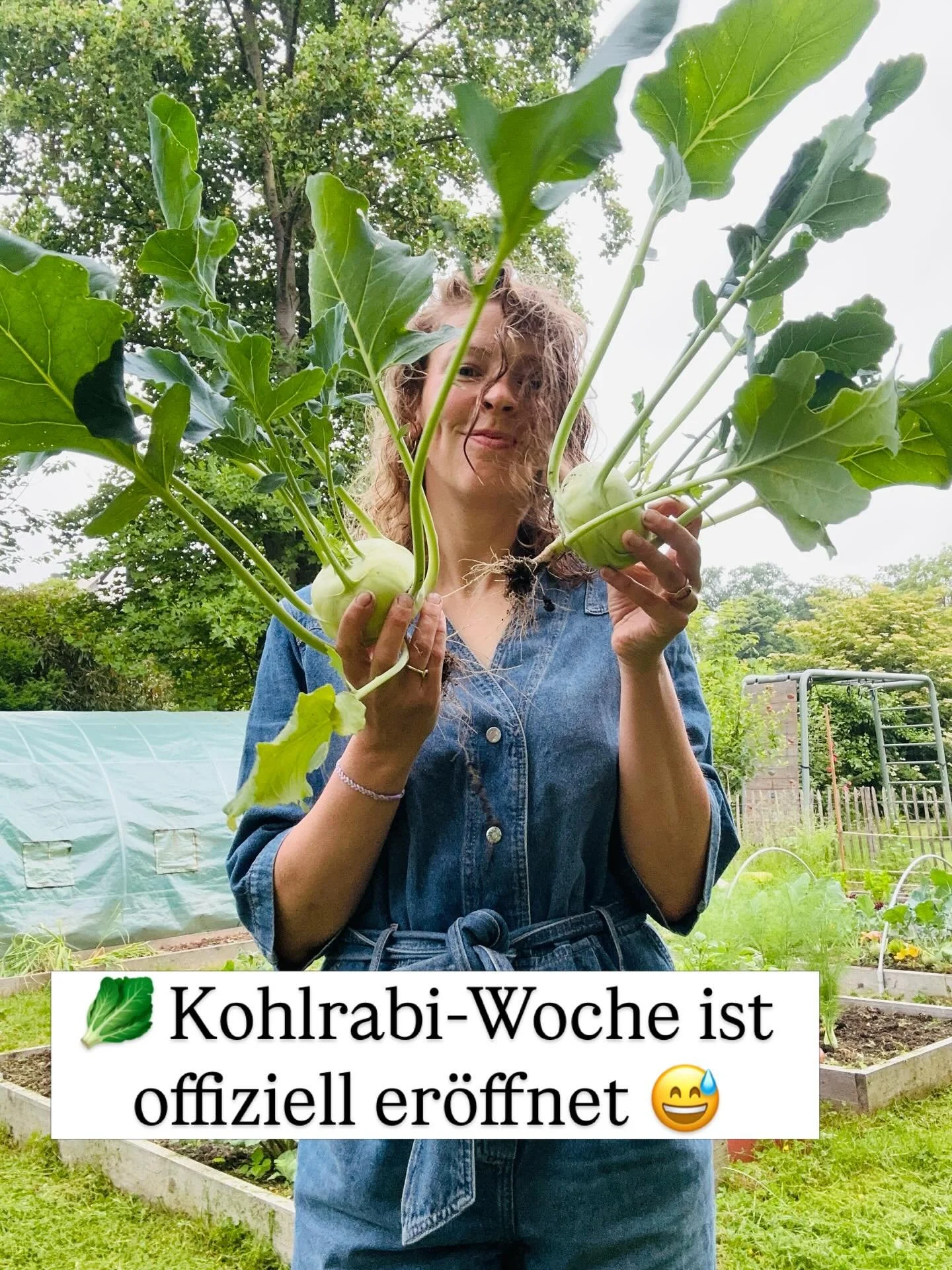 Der Garten hat entschieden: Kohlrabi-Woche. 🥬😅
Jeden Tag. Zu allem.

Laut Ayurveda k&uuml;hlend, immunst&auml;rkend (viel Vit C) &amp; verdauungsfreundlich (viel Ballaststoffe) &mdash; und weil er direkt vor der T&uuml;r w&auml;chst, schenkt er uns