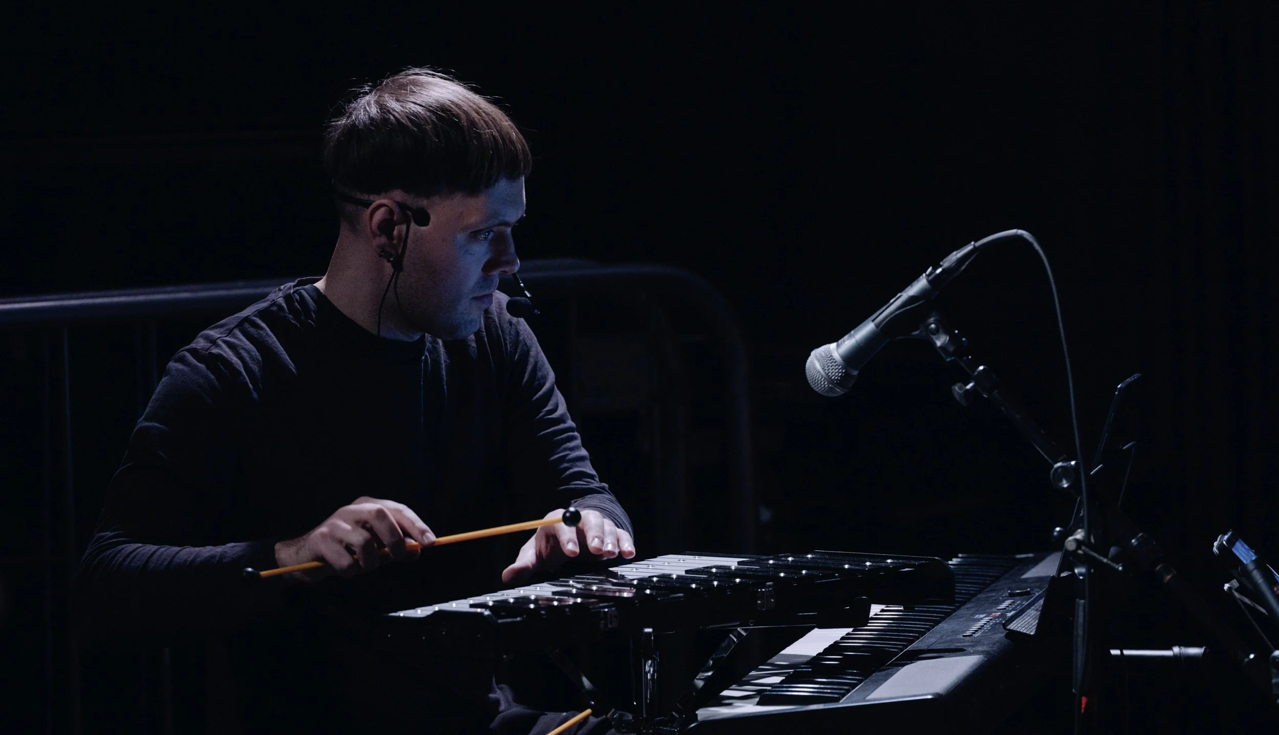 for the birds - Joss Smith