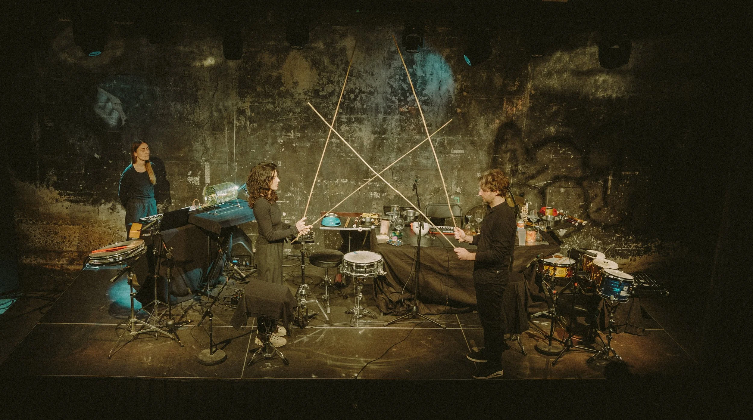 Diomedea - Irene Bianco