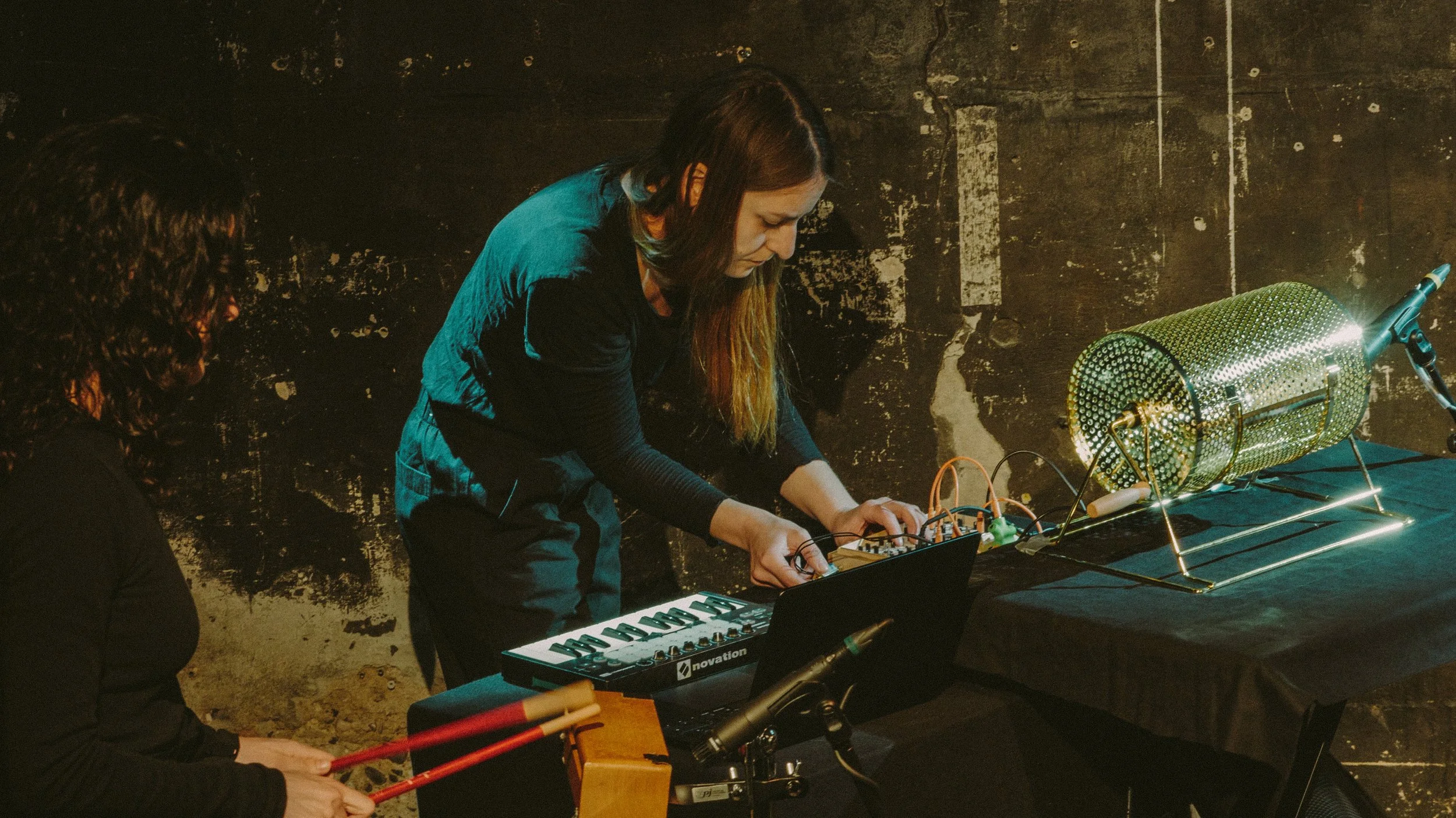 Diomedea - Irene Bianco