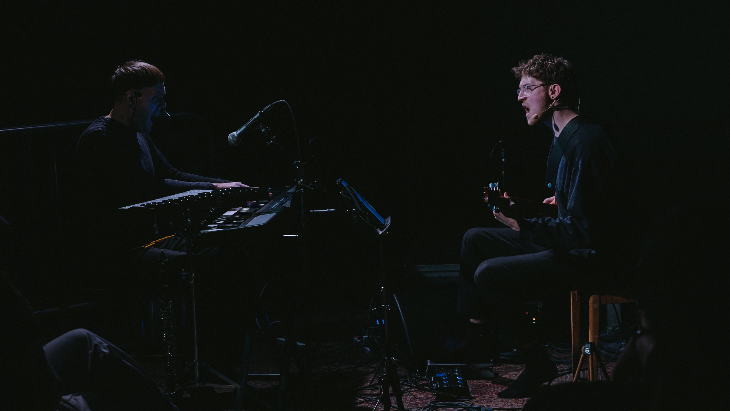 for the birds - Joss Smith