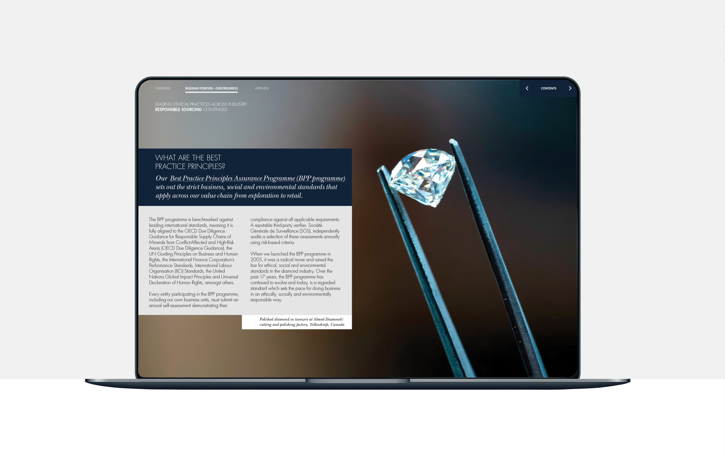 12Portfolio__Master_April2025_05_WebAssets_DeBeers_ALL_mockups9.png