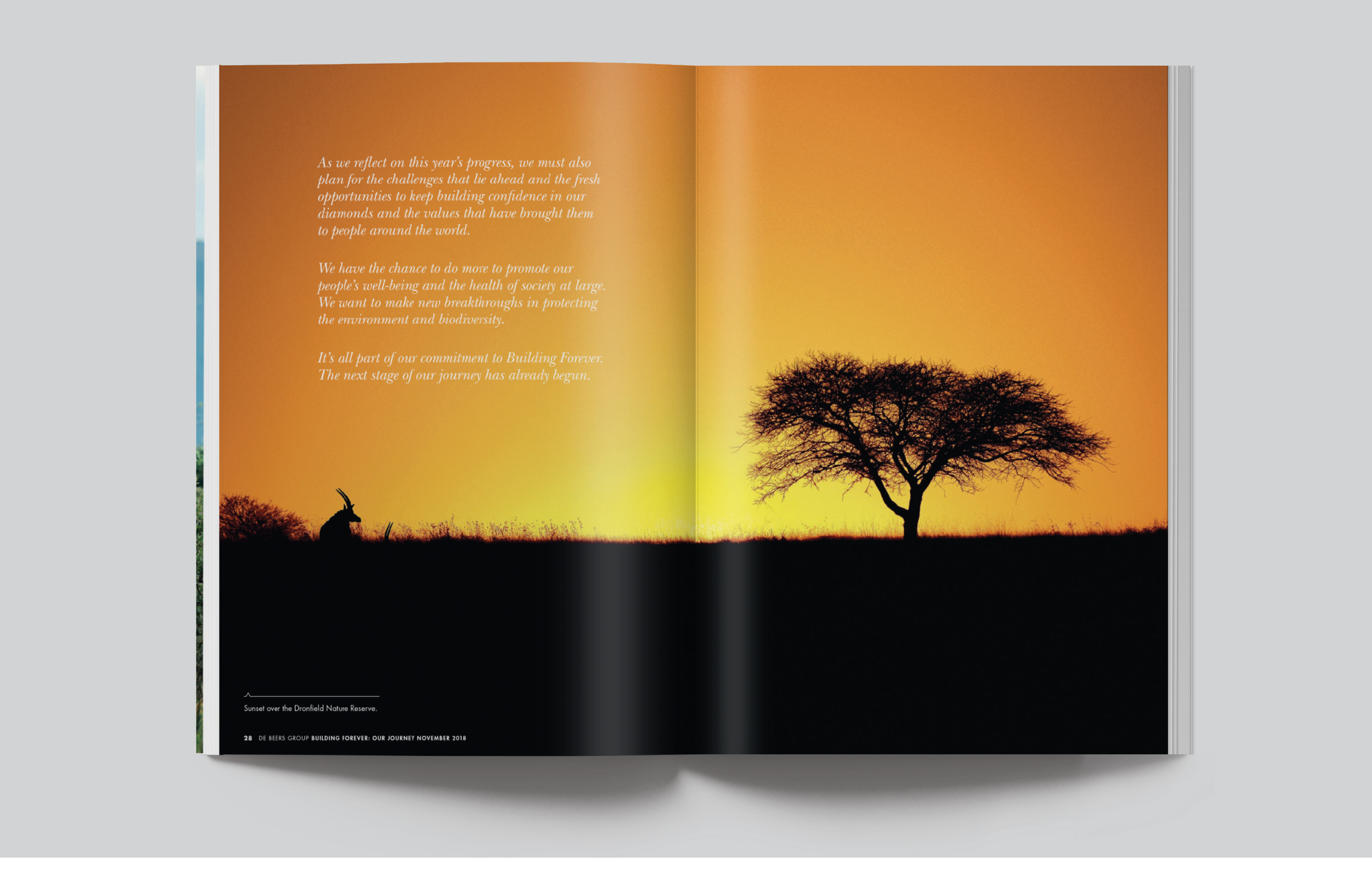 12Portfolio__Master_April2025_05_WebAssets_DeBeers_ALL_mockups7.png