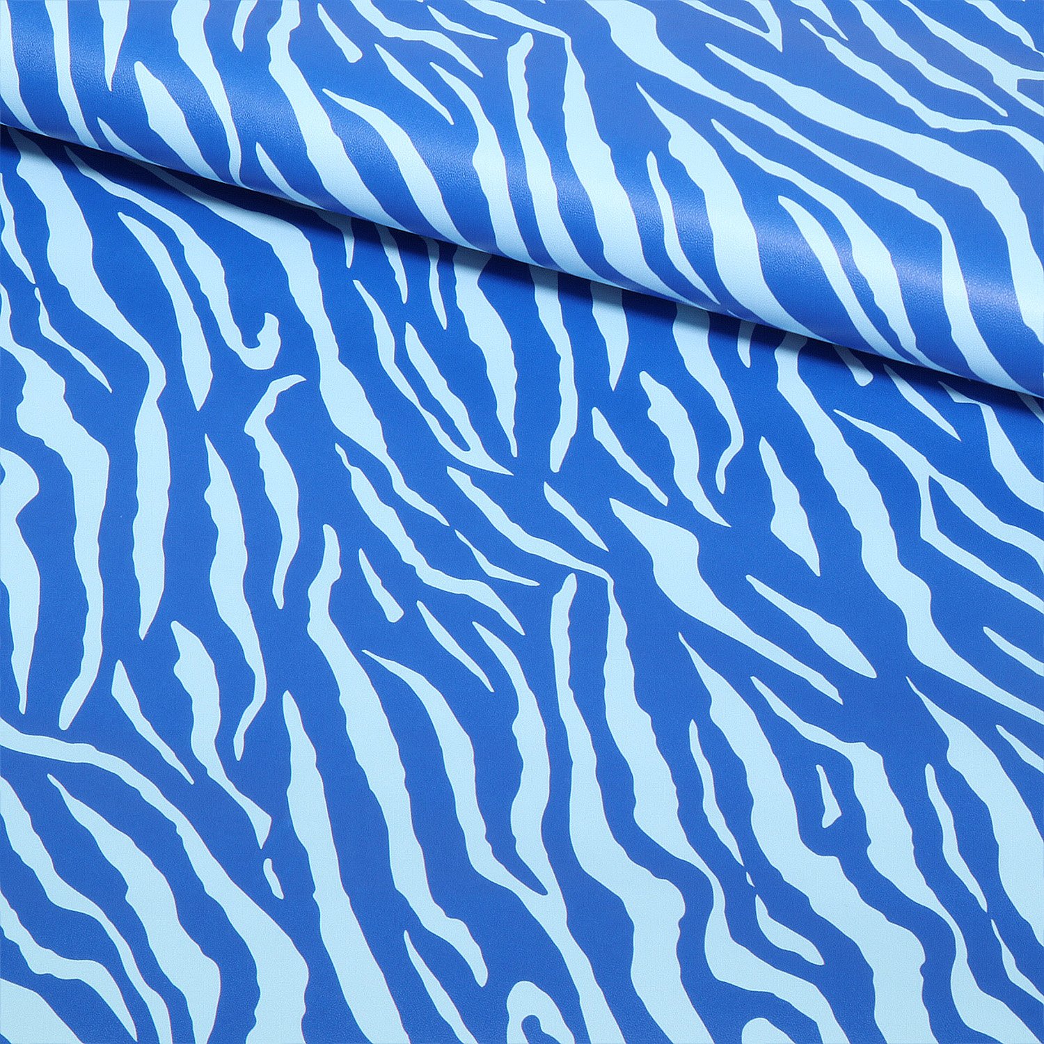 Zebra_blau1.jpg