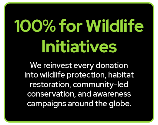 Black background with green and white text promoting wildlife initiatives and conservation efforts.