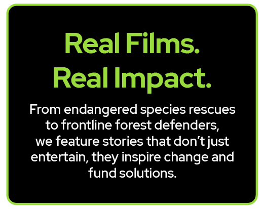 Black background with green and white text promoting environmental films that inspire change and solutions, highlighting real impact and stories of endangered species and forest defenders.
