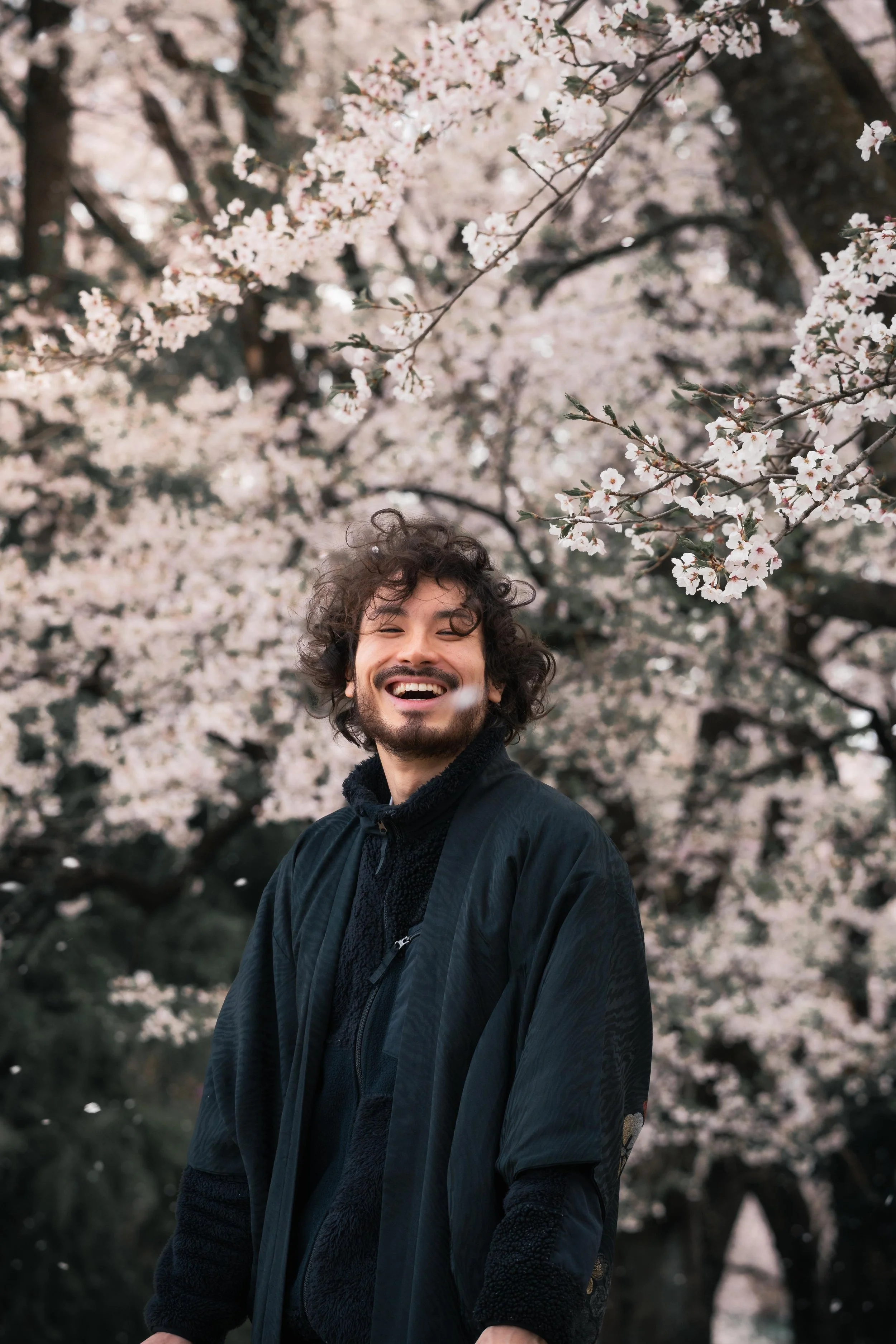 A smiling man with curly hair standing outdoors under blooming cherry blossom trees