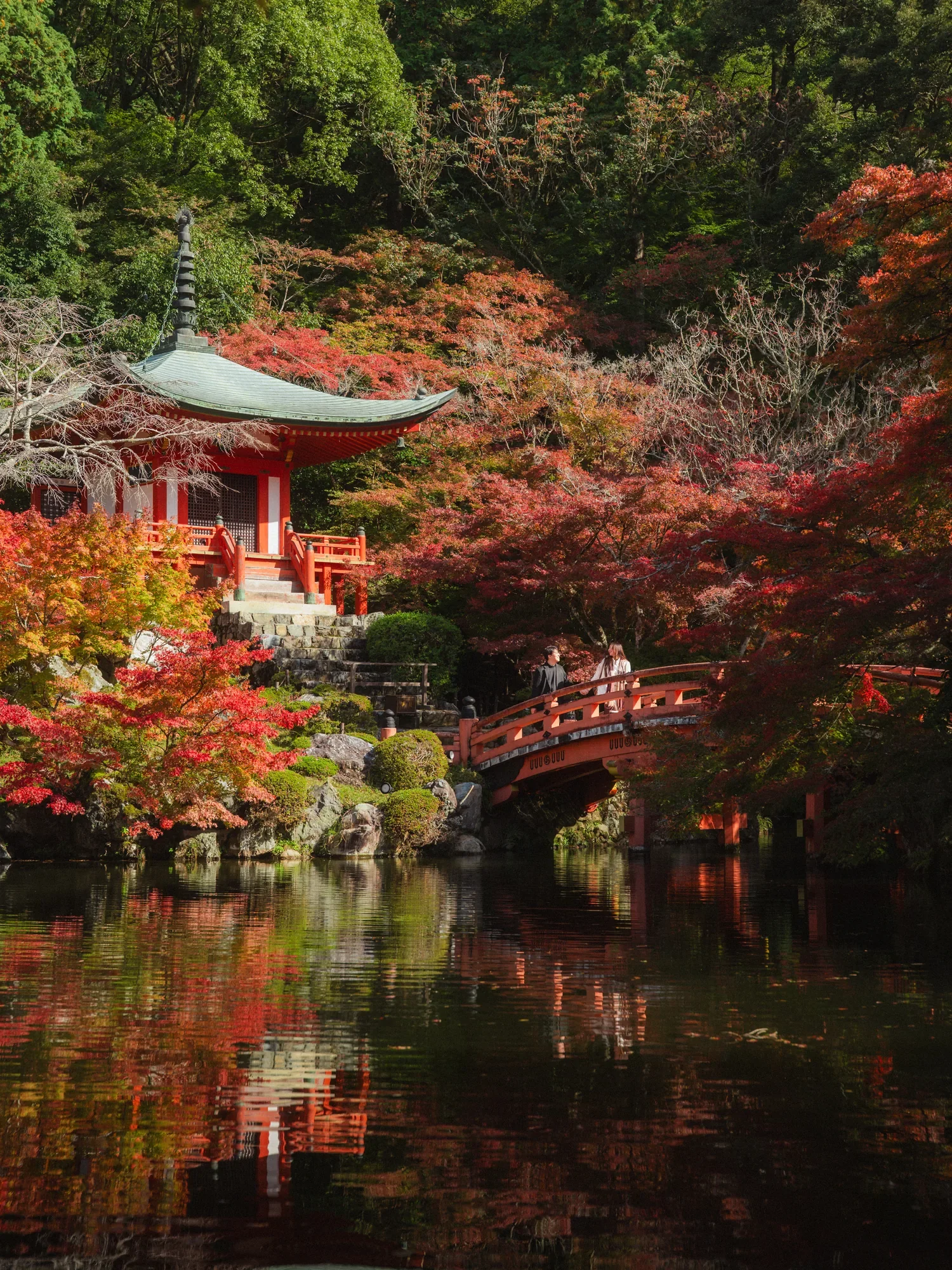 DSC01929.webp