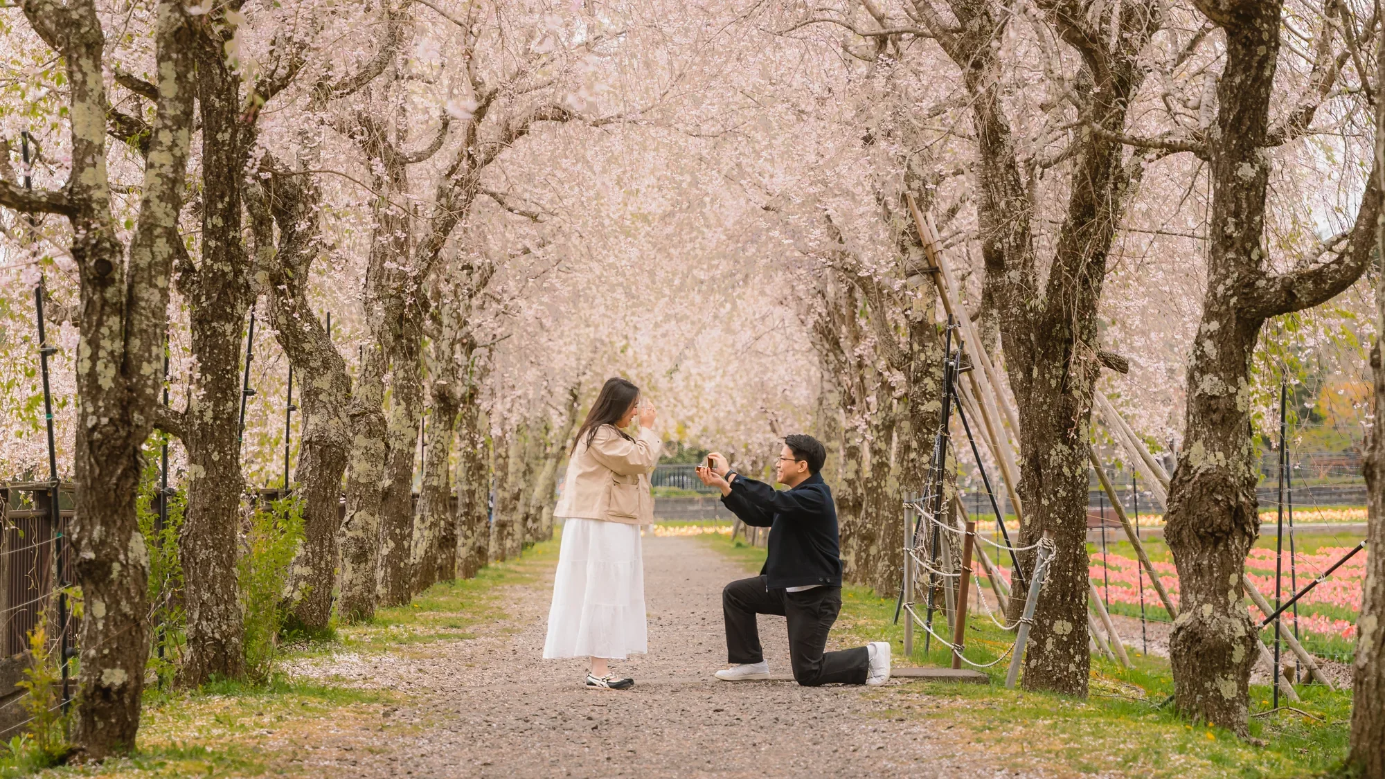DSC04228.webp