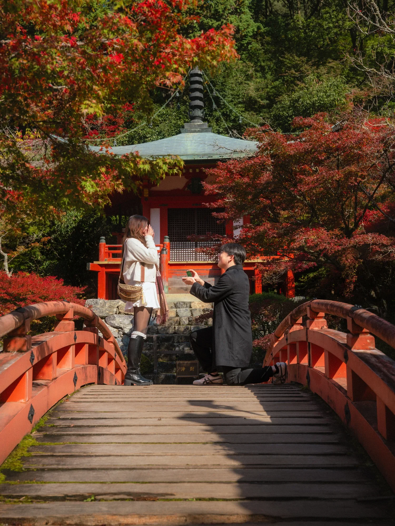 DSC01884.webp