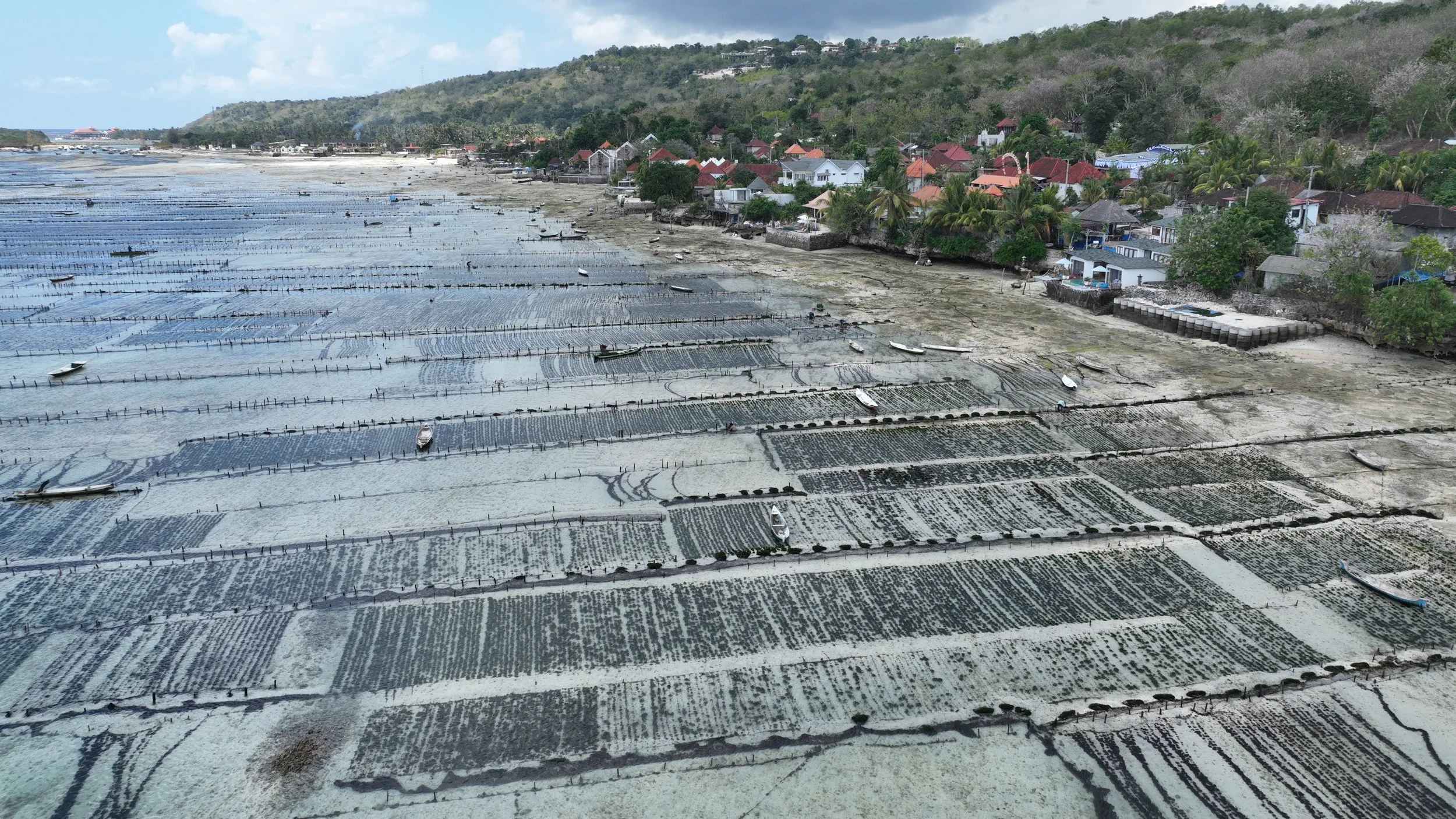 Estuary Weed Farm.JPG