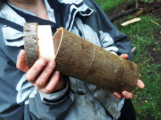 lime-bark-day-02.jpg