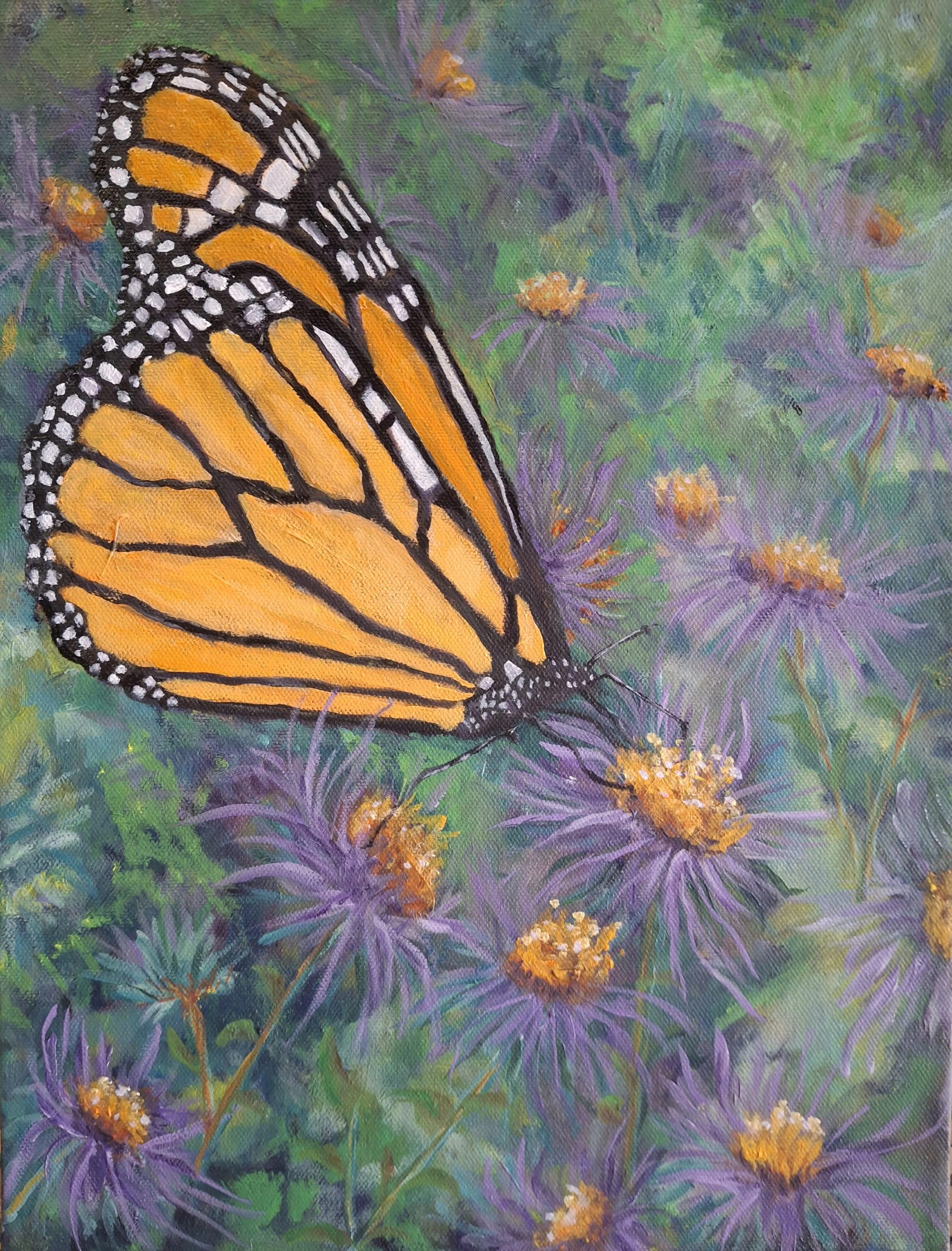 Butterflies Are Free