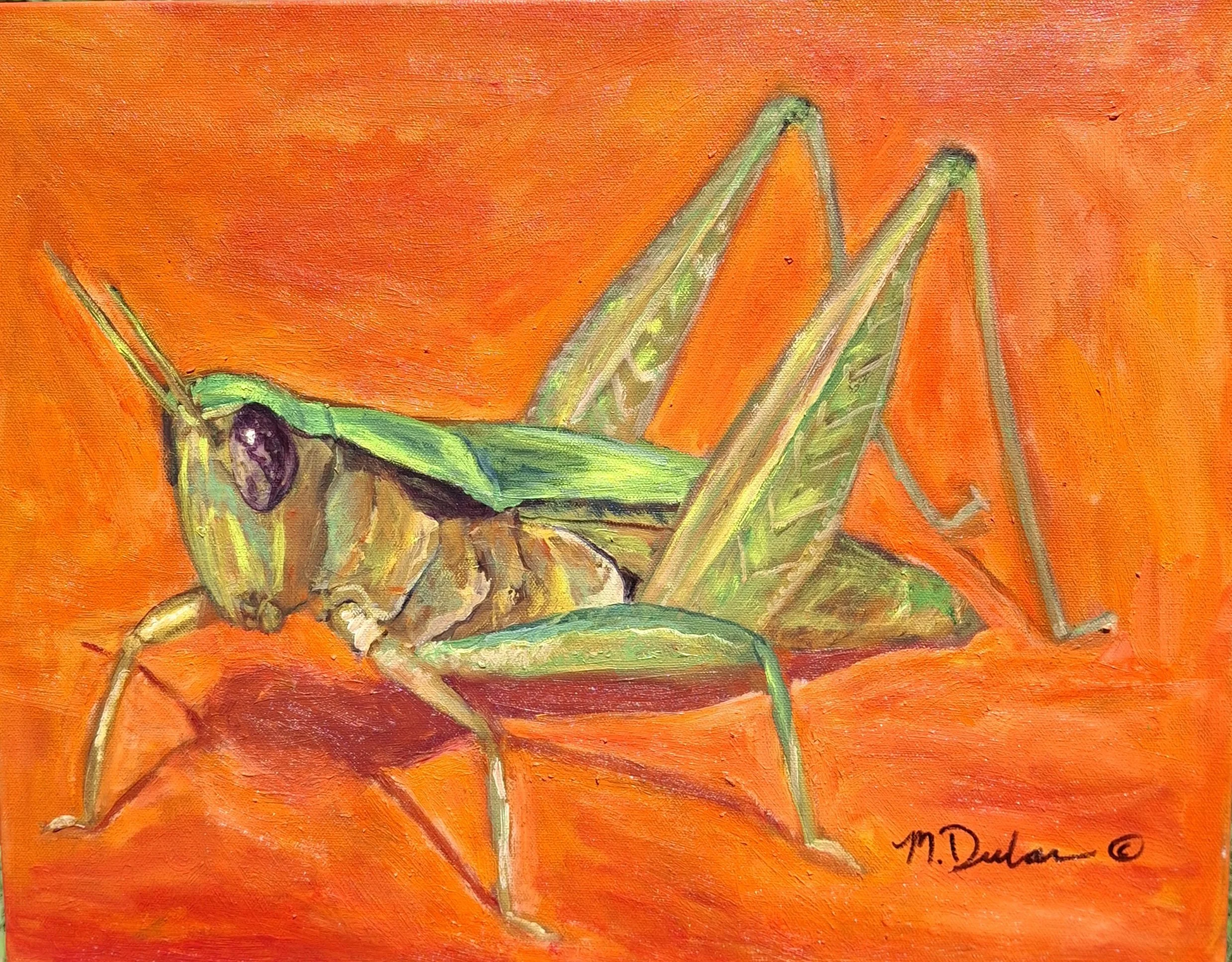 Grasshopper