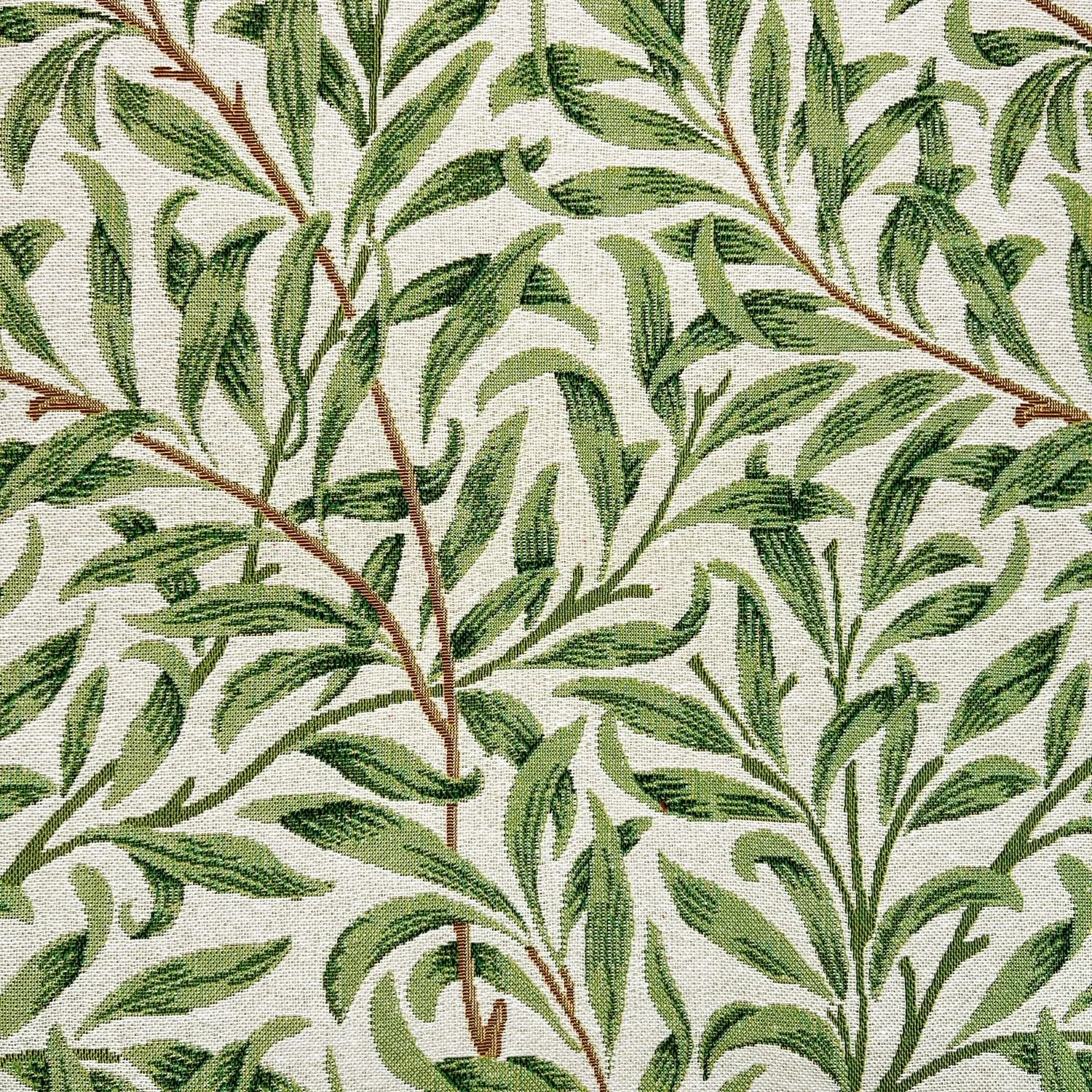 Willow Sage