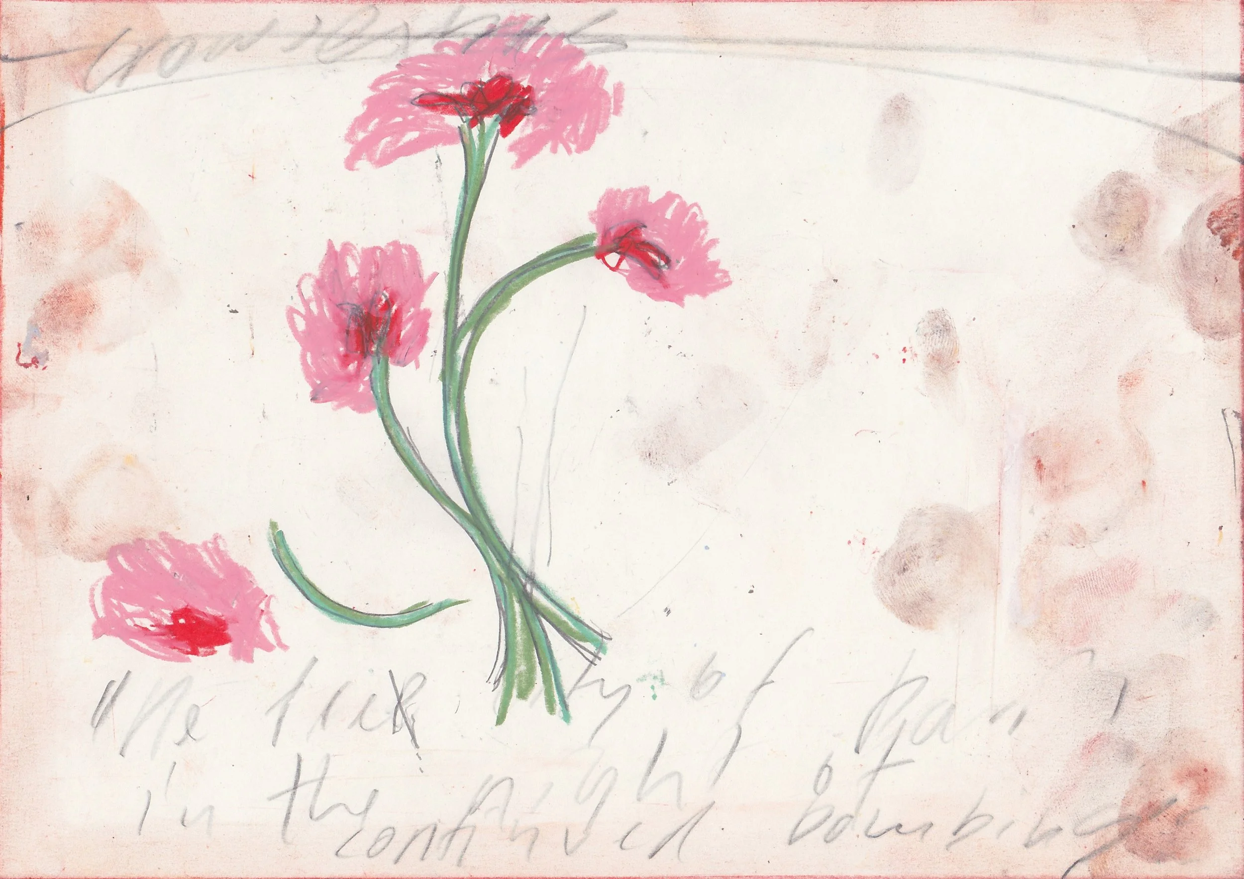 Floral lament (works on paper).