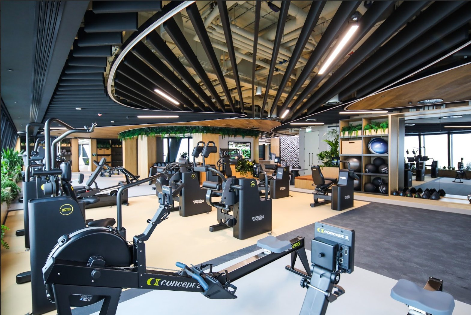 Modern gym with various exercise equipment, free weights, and machines, featuring black, wooden, and green decor.