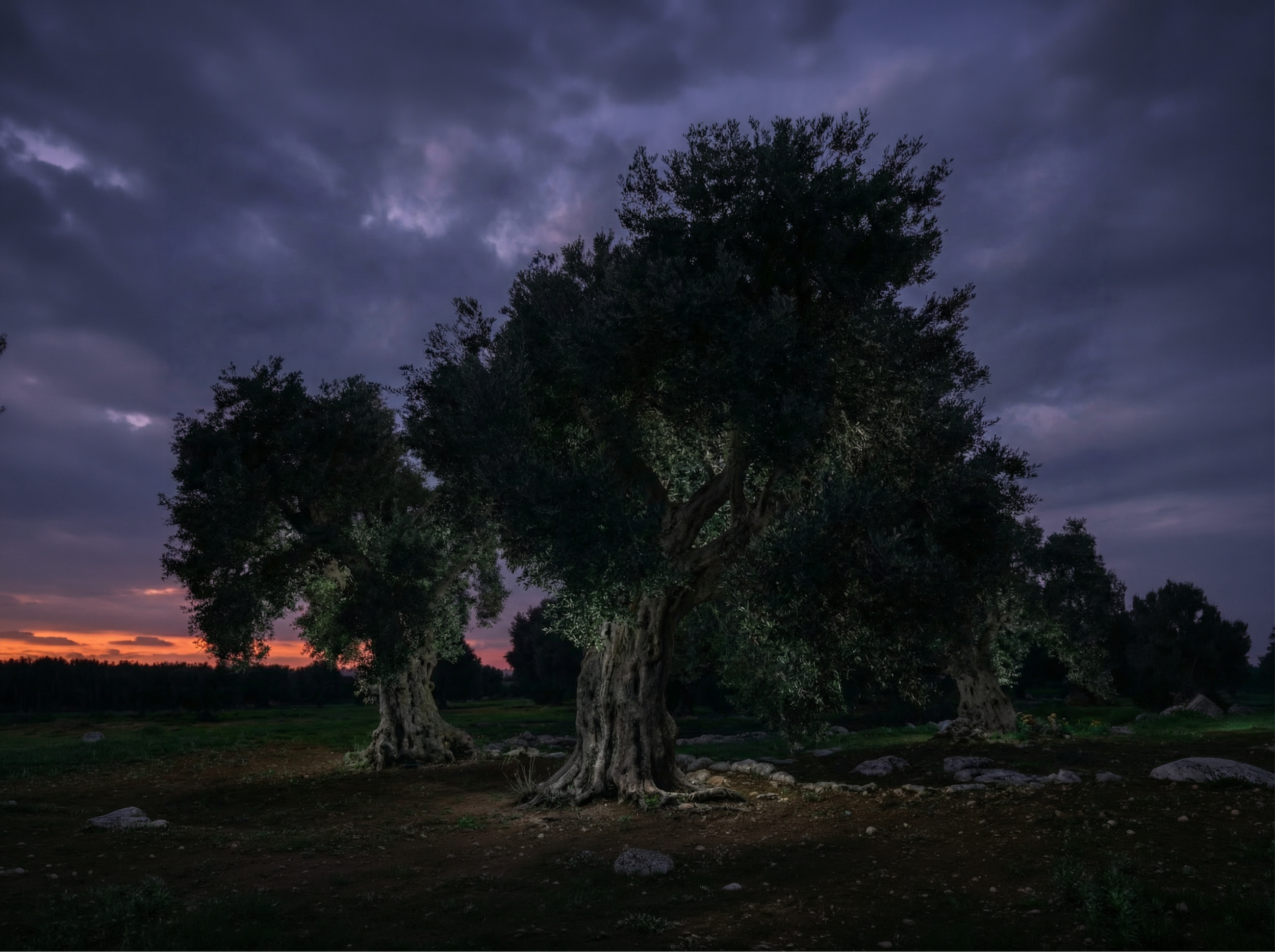 concept 01_radici_off.png