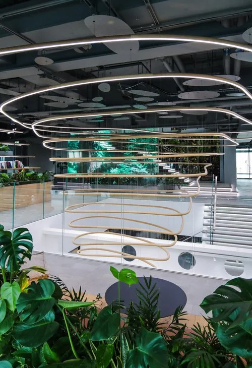 Modern interior with circular LED light fixtures and lush green plants.