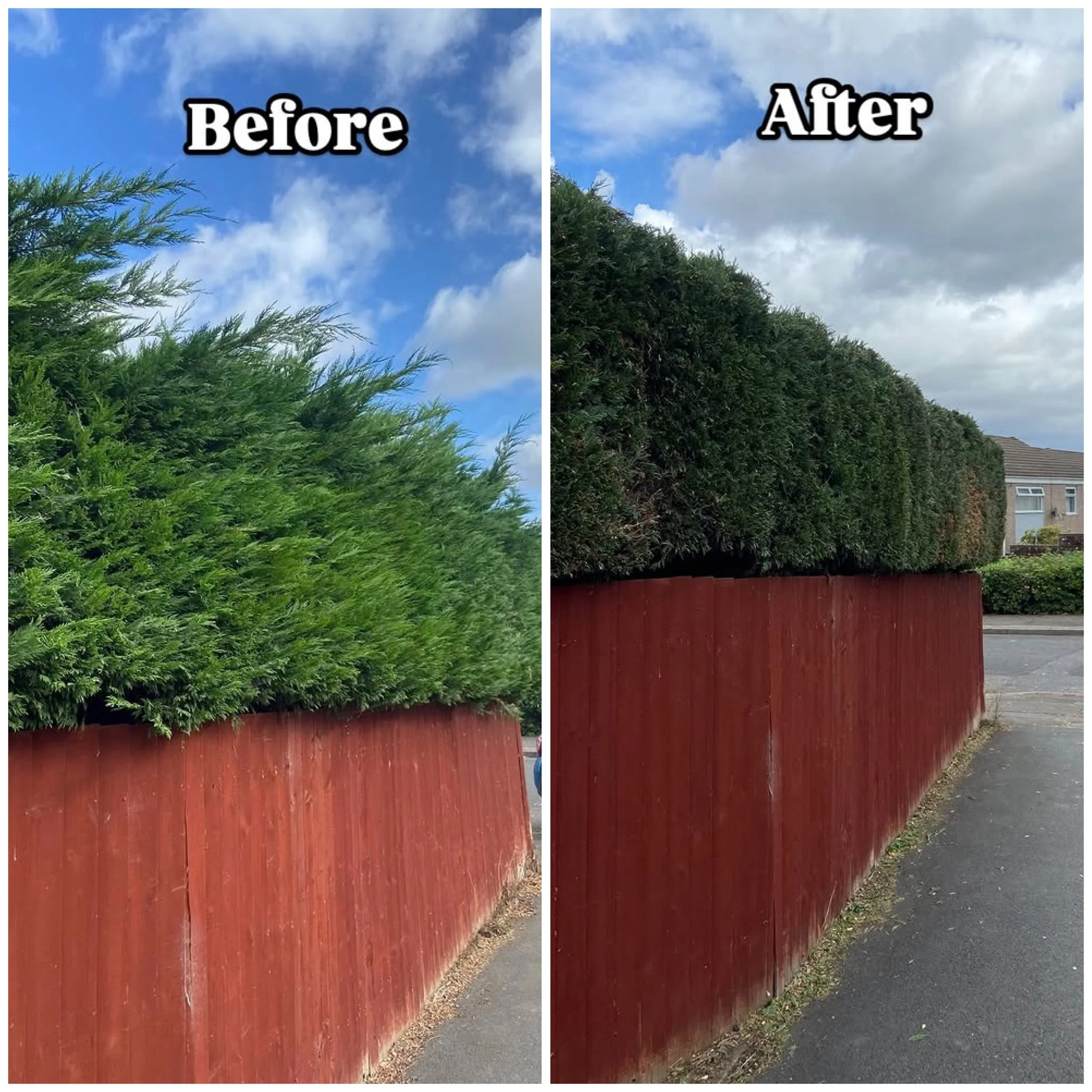 Hedge cutting 