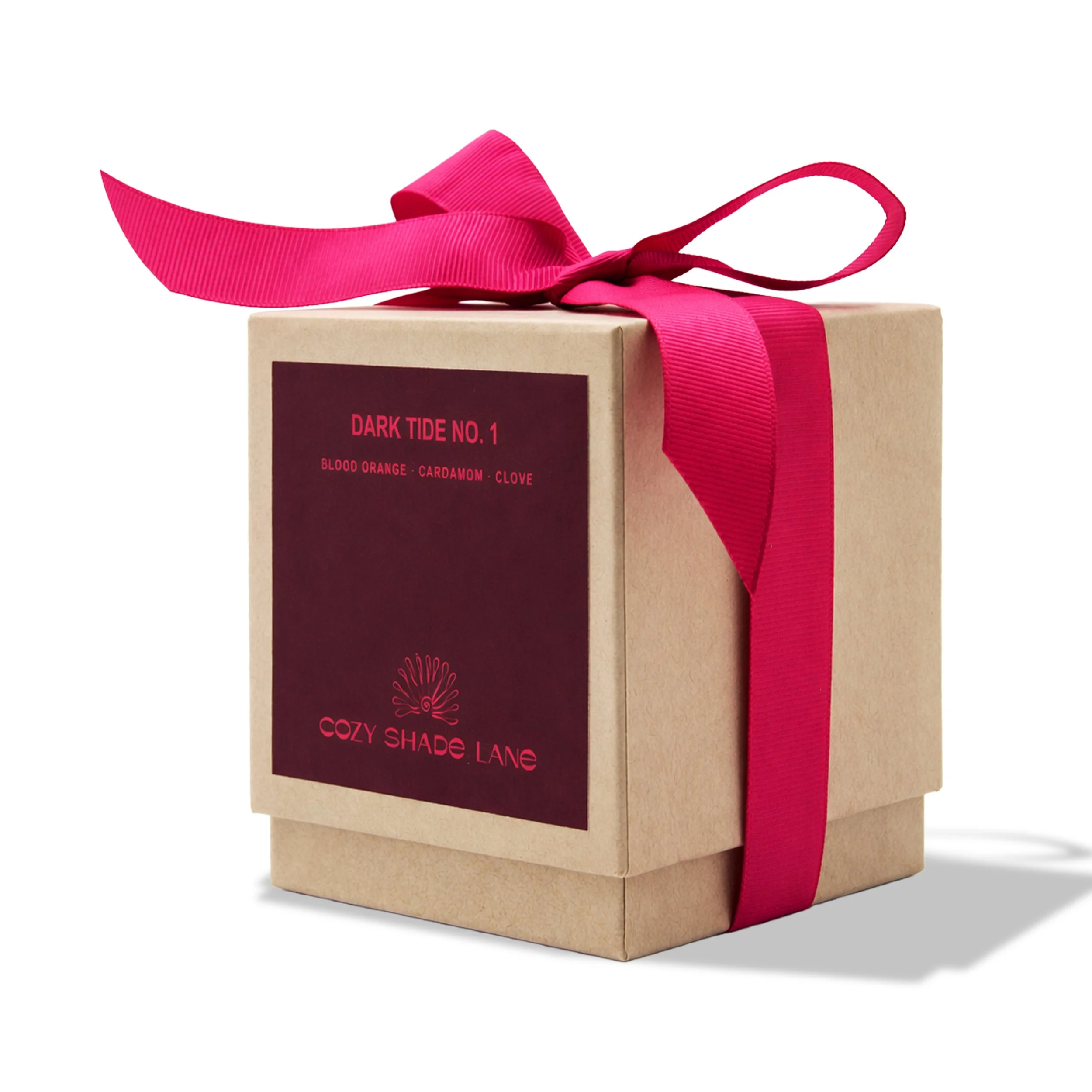 Dark Tide No.1 Box Front.jpg