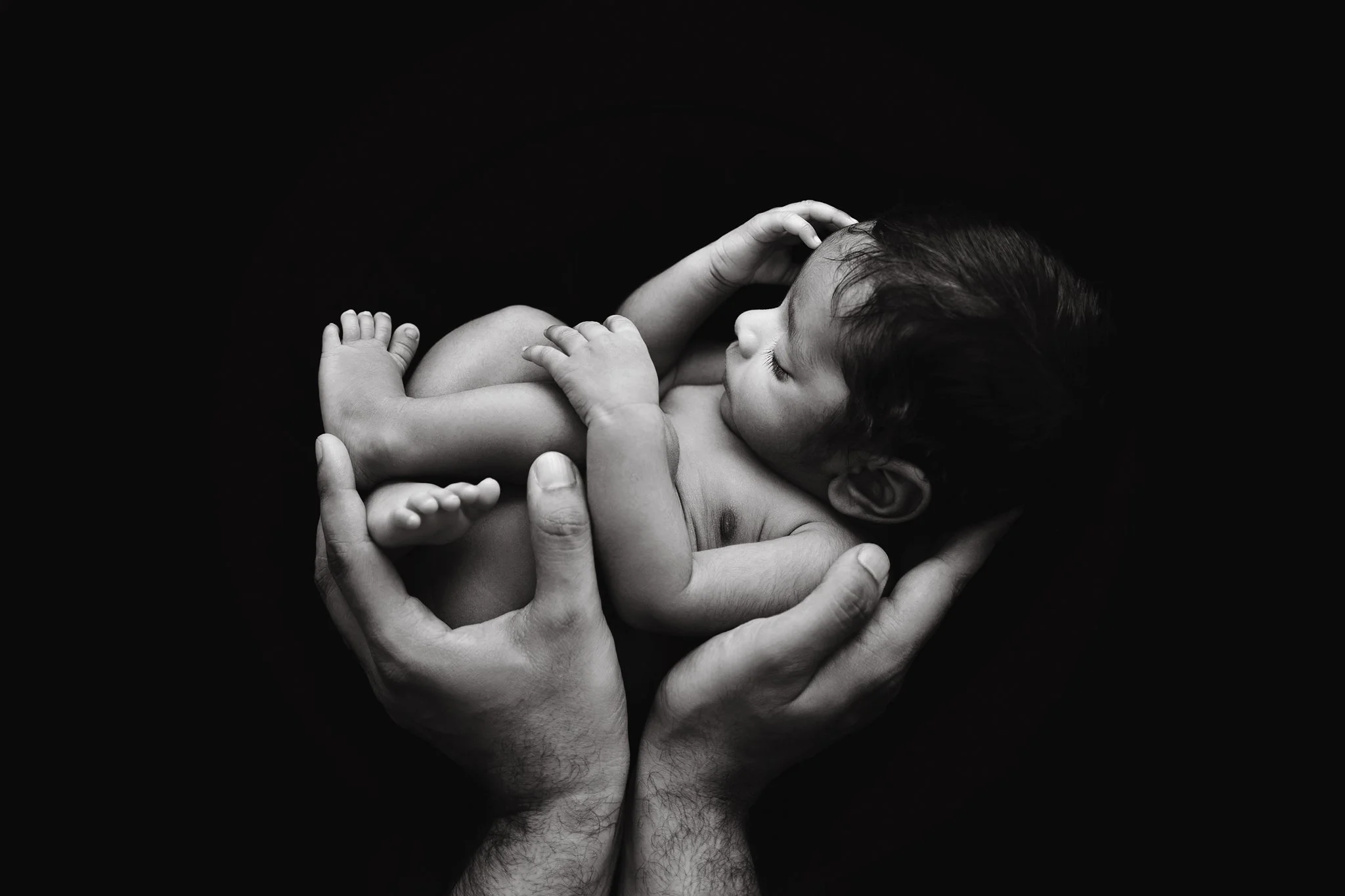Black and white photo of an adult holding and cradling a newborn baby in their hands, with the baby's body curled up.