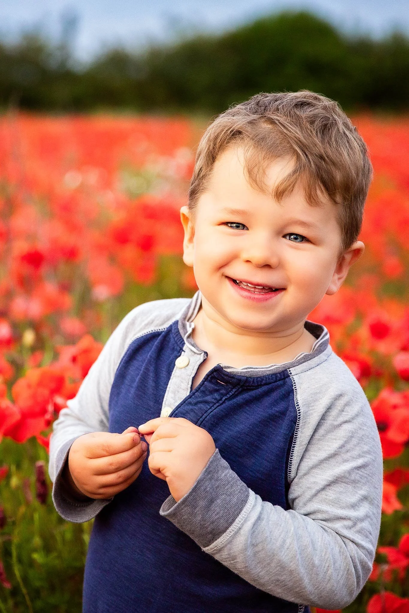 A smiling young boy with blue eyes and brown hair standing in a field of red poppies, wearing a blue and gray long-sleeve shirt.