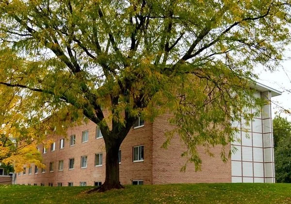 cropped-Calvin-College-Veenstra-1.jpg