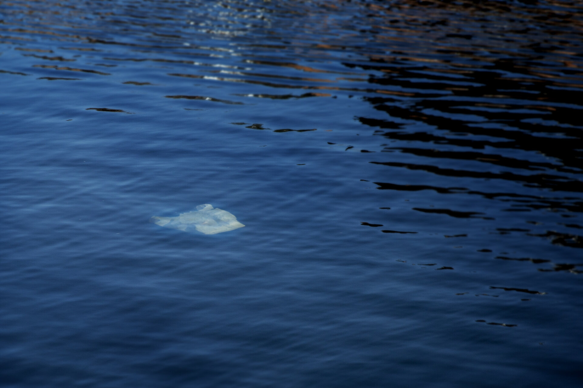 Rhode Island Special Elections on March 2nd